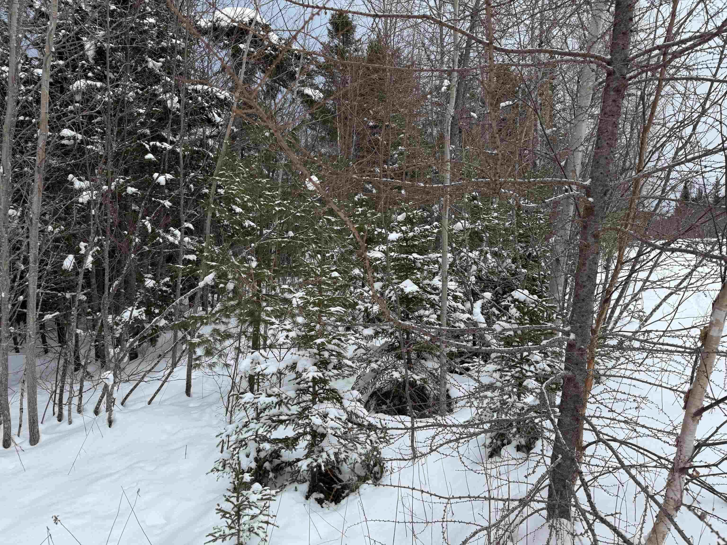 $99,999.00: 1 Barren Road, Seal Cove