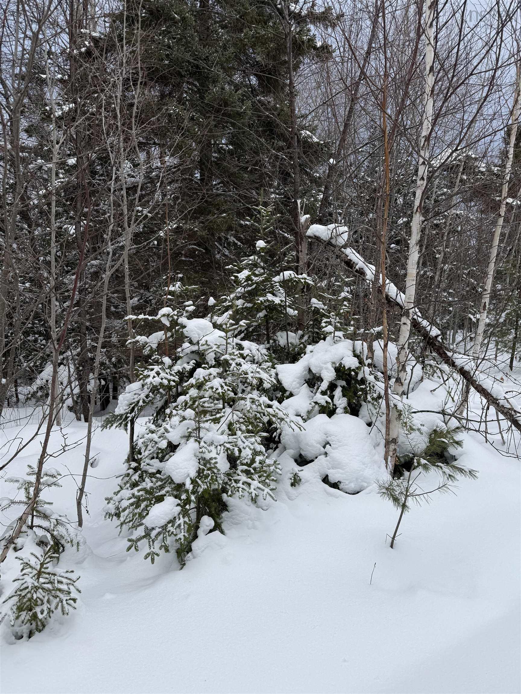 $99,999.00: 1 Barren Road, Seal Cove