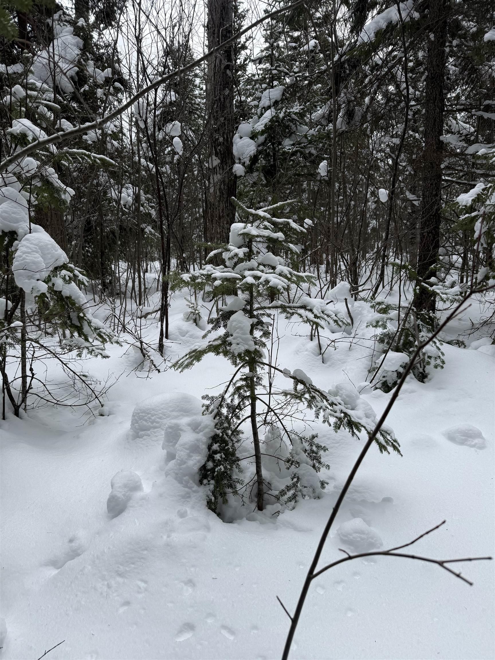 $99,999.00: 1 Barren Road, Seal Cove