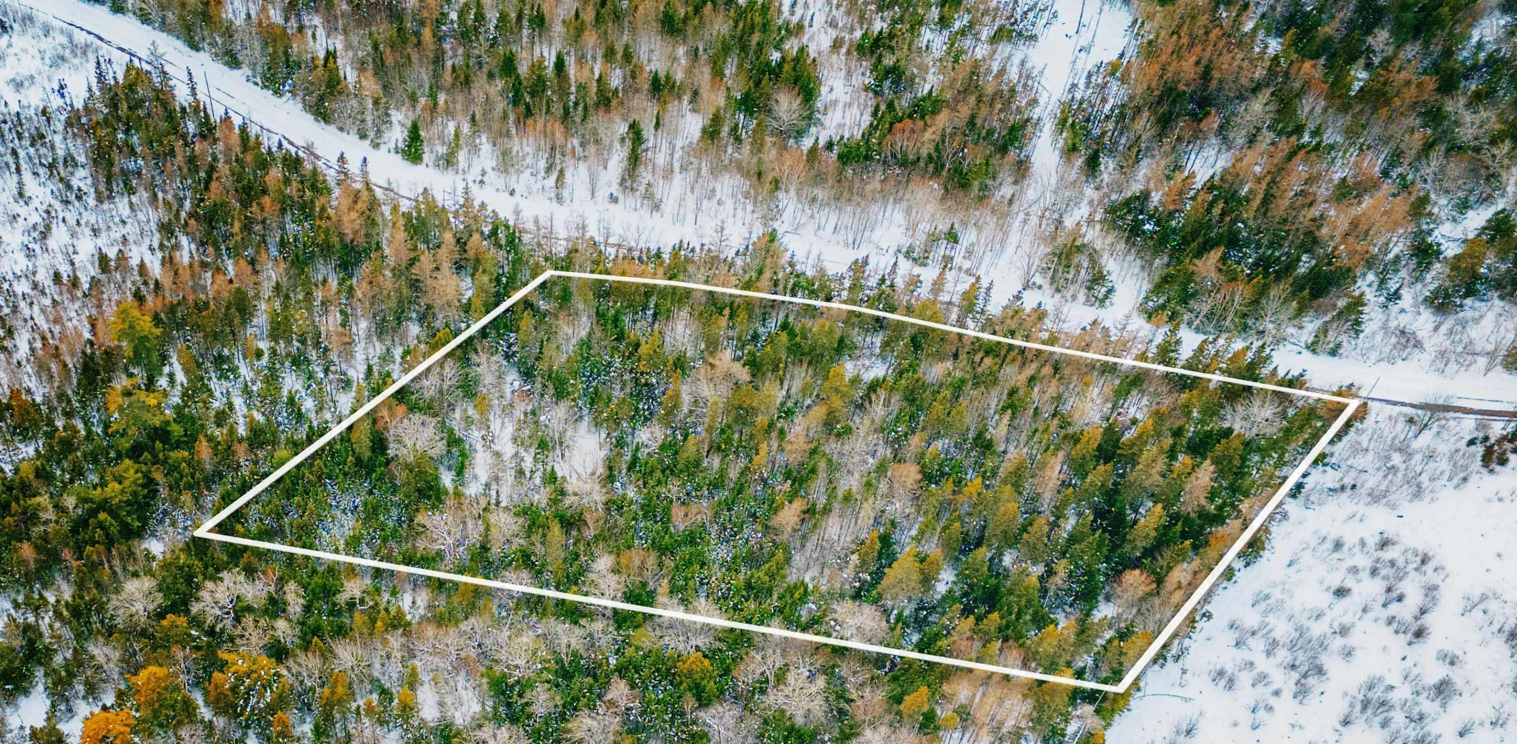 $15,000.00: Cameron Road, Orangedale