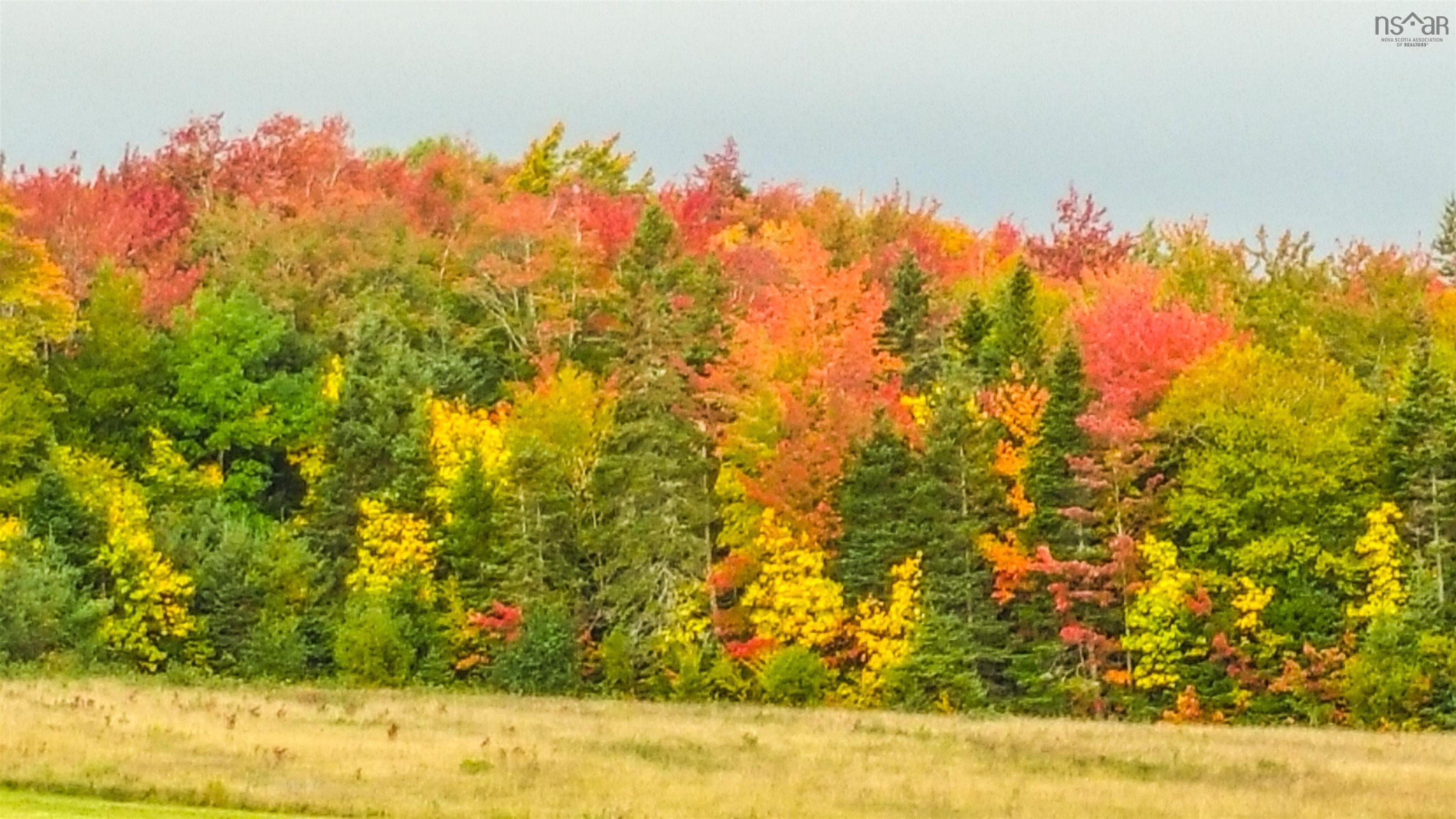 $499,900.00: 10353 Marble Mountain Road, Orangedale