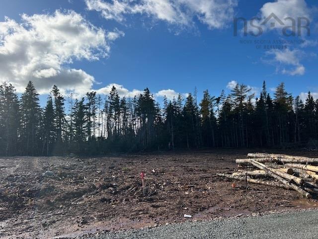 $39,900.00: Lot 12 Northside Drive, St. Peter