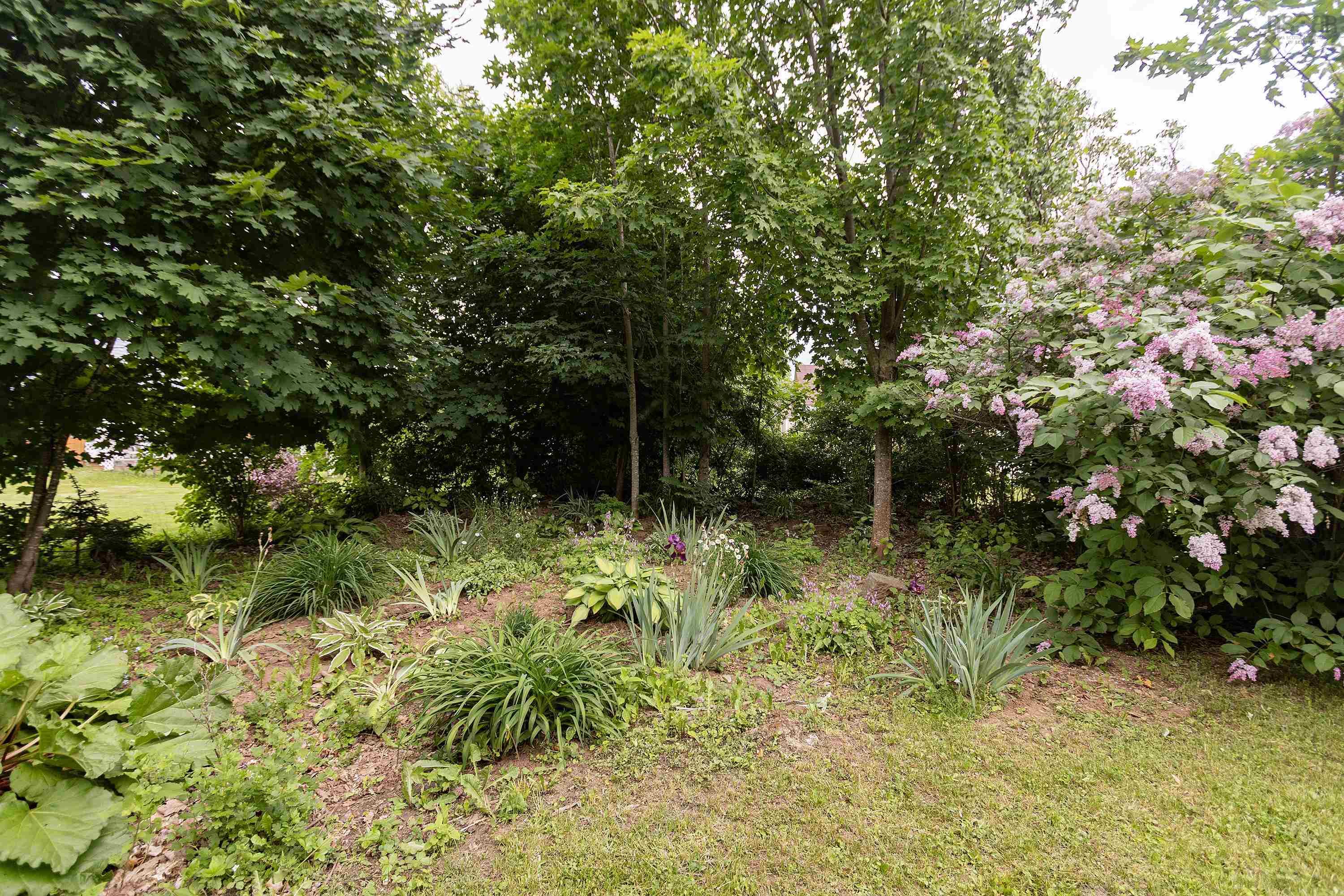 $309,900.00: 41 Prince William Street, Oxford