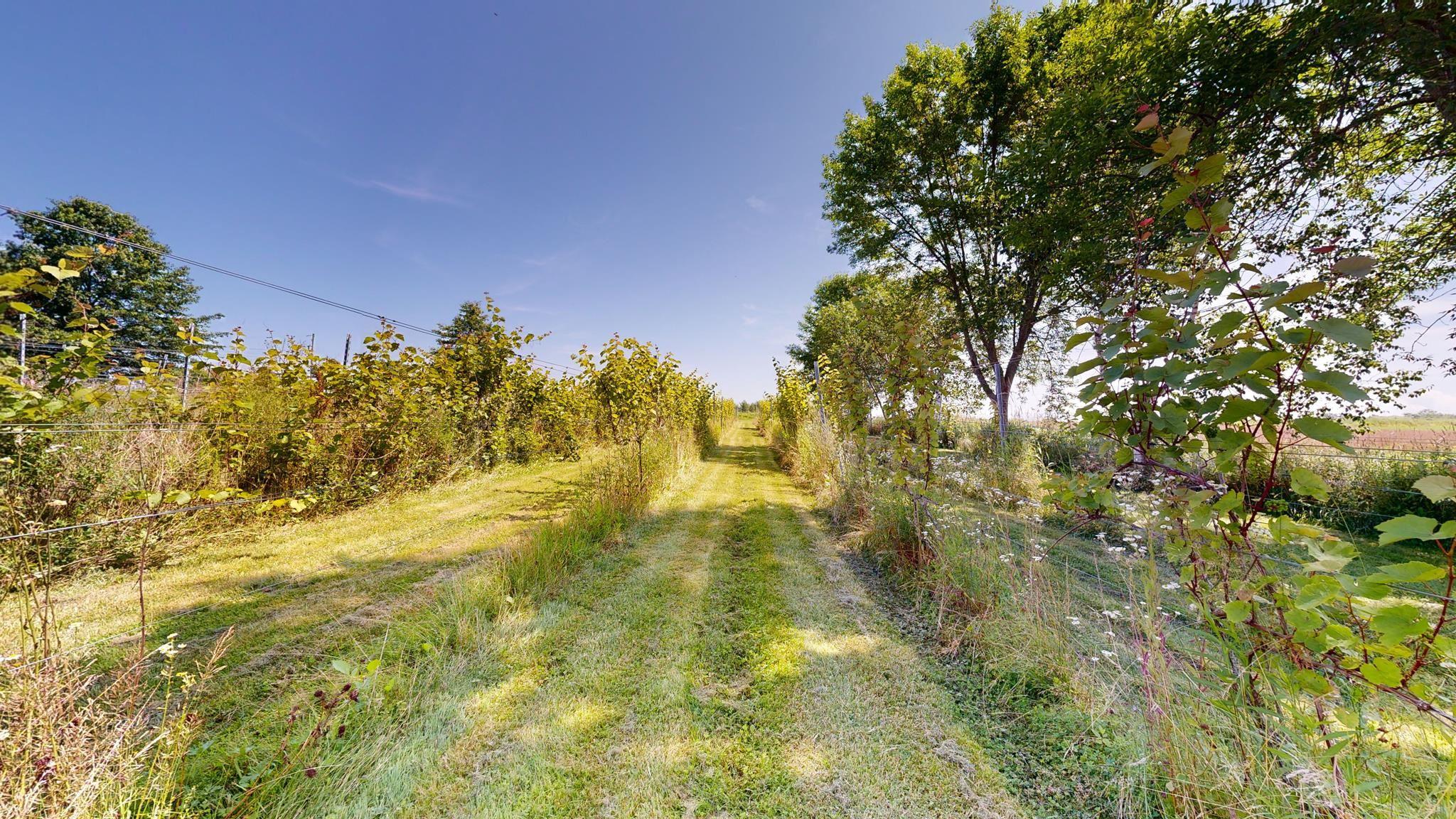 $1,675,000.00: 115 Magee Road, Port Williams