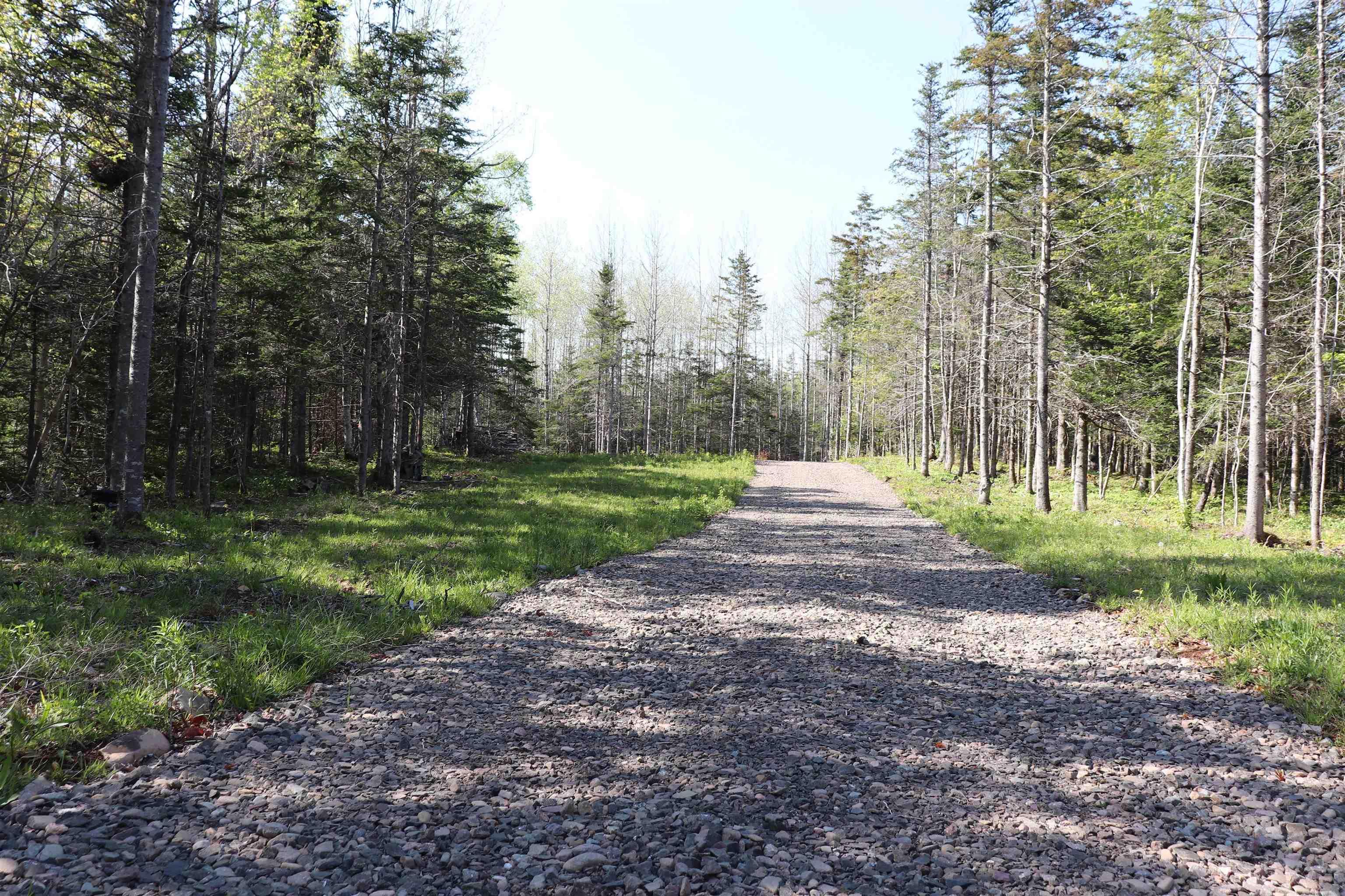 $110,000.00: Lot Forest Glade Road, Forest Glade