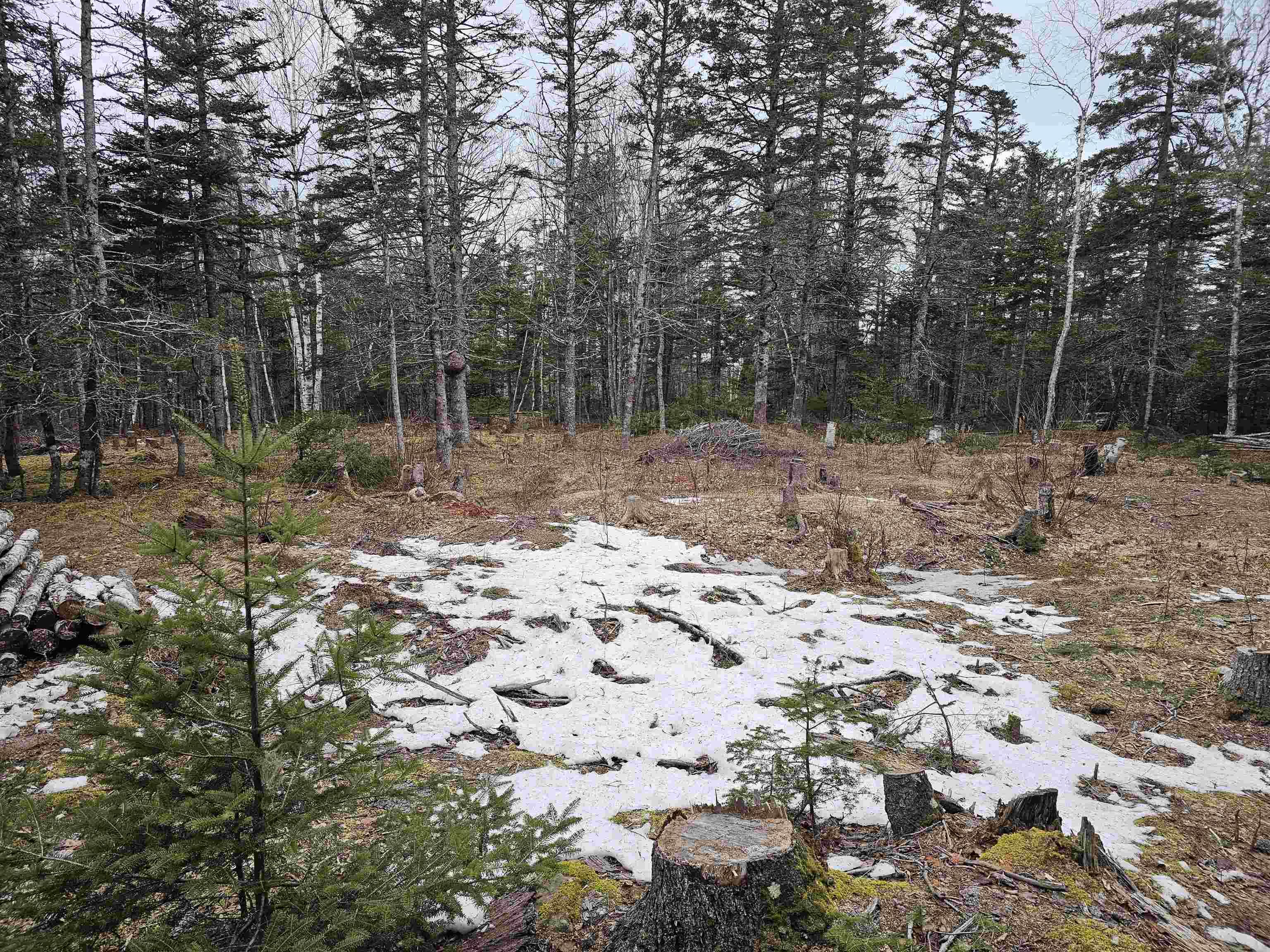 $115,000.00: Lot Forest Glade Road, Forest Glade