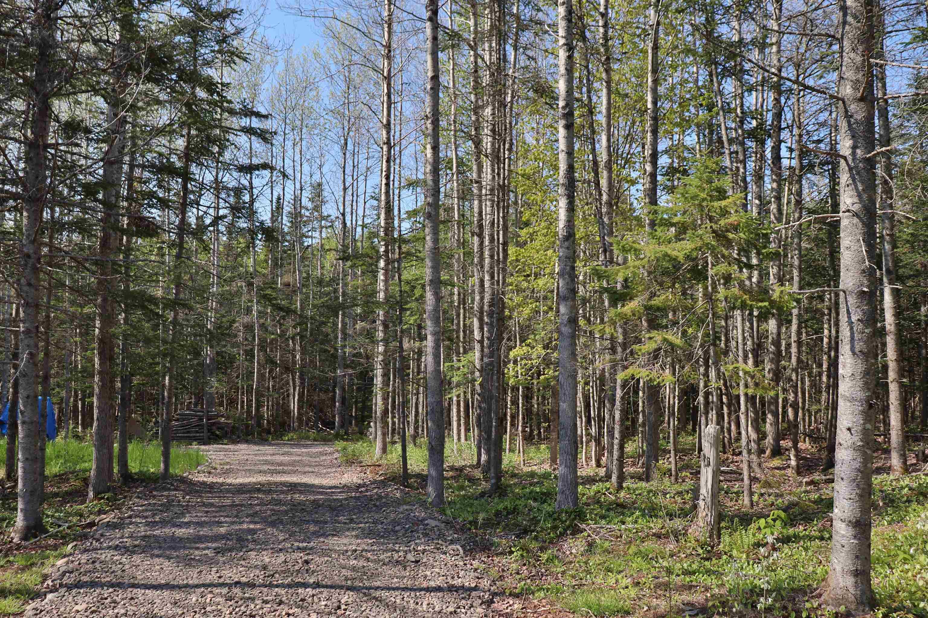 $110,000.00: Lot Forest Glade Road, Forest Glade