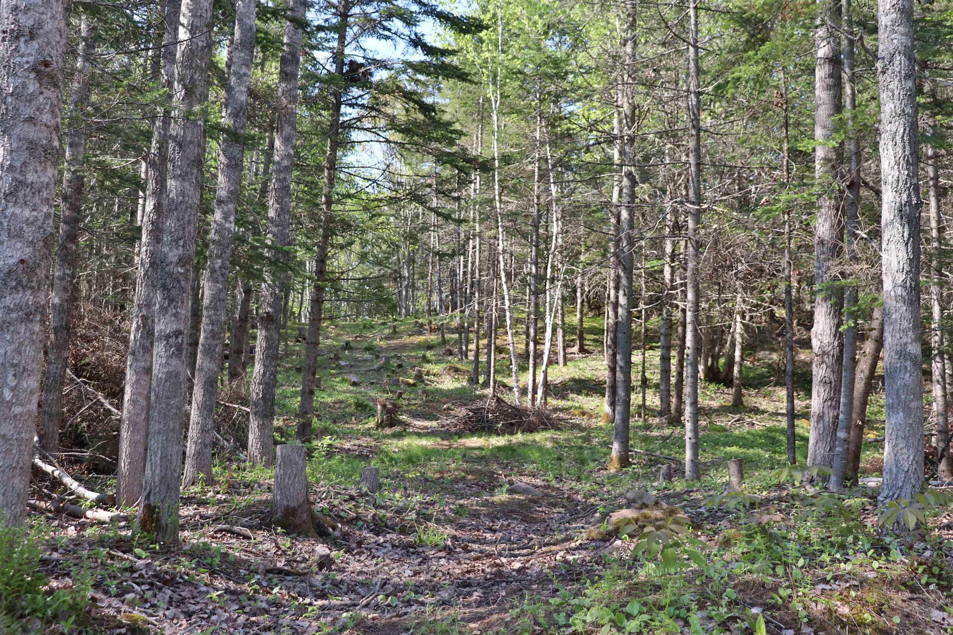 $115,000.00: Lot Forest Glade Road, Forest Glade