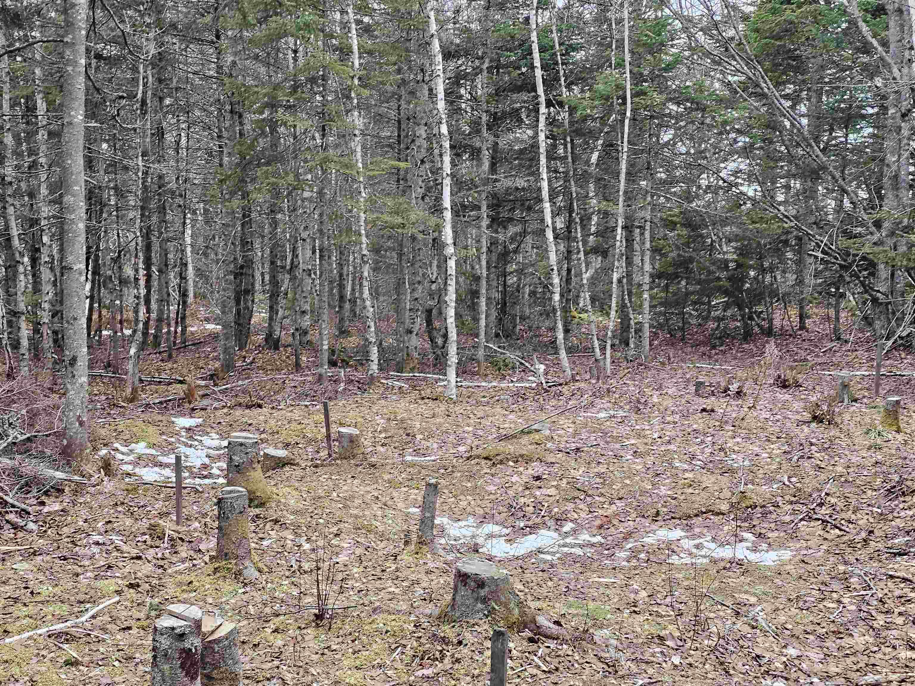 $115,000.00: Lot Forest Glade Road, Forest Glade