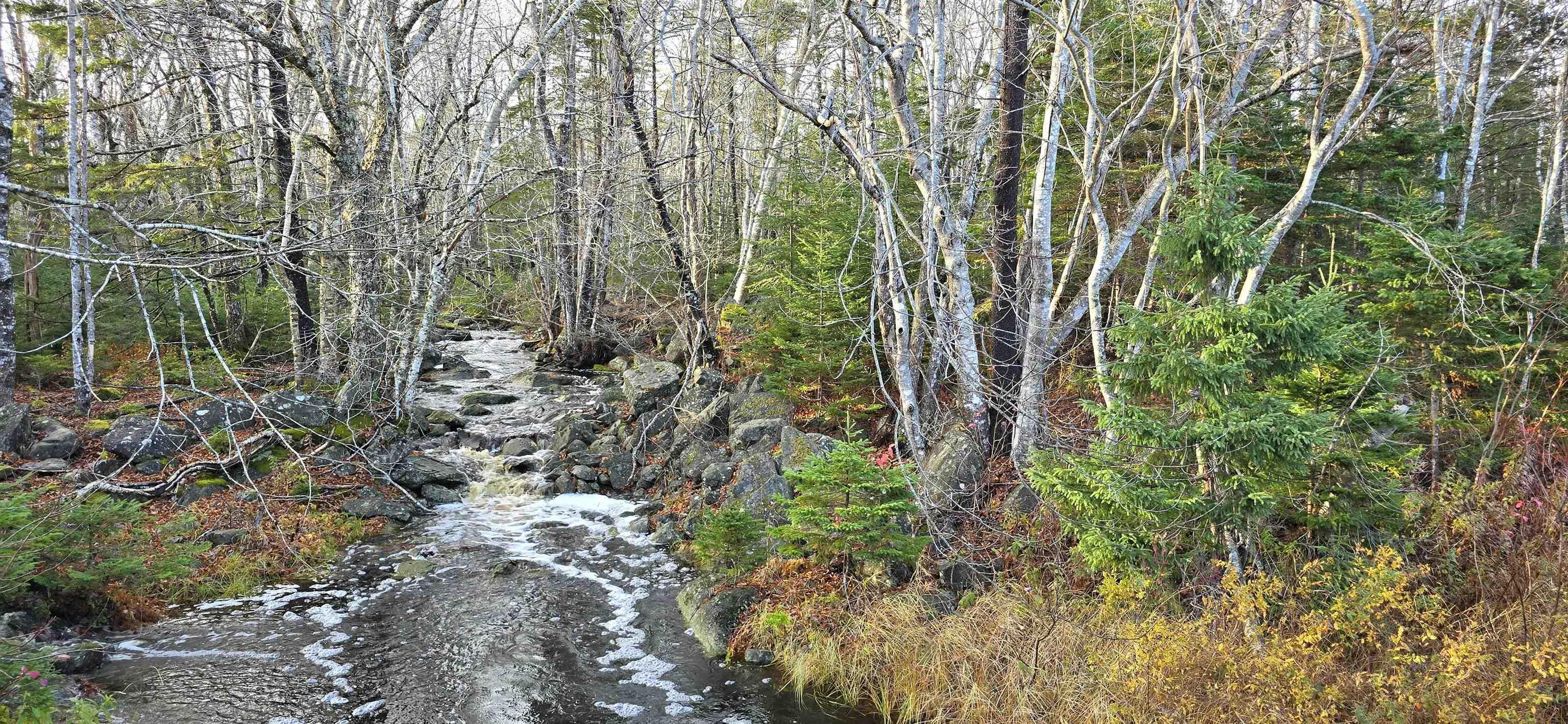 $37,500.00: Lot 16 Eastern Shore Road, Port Medway