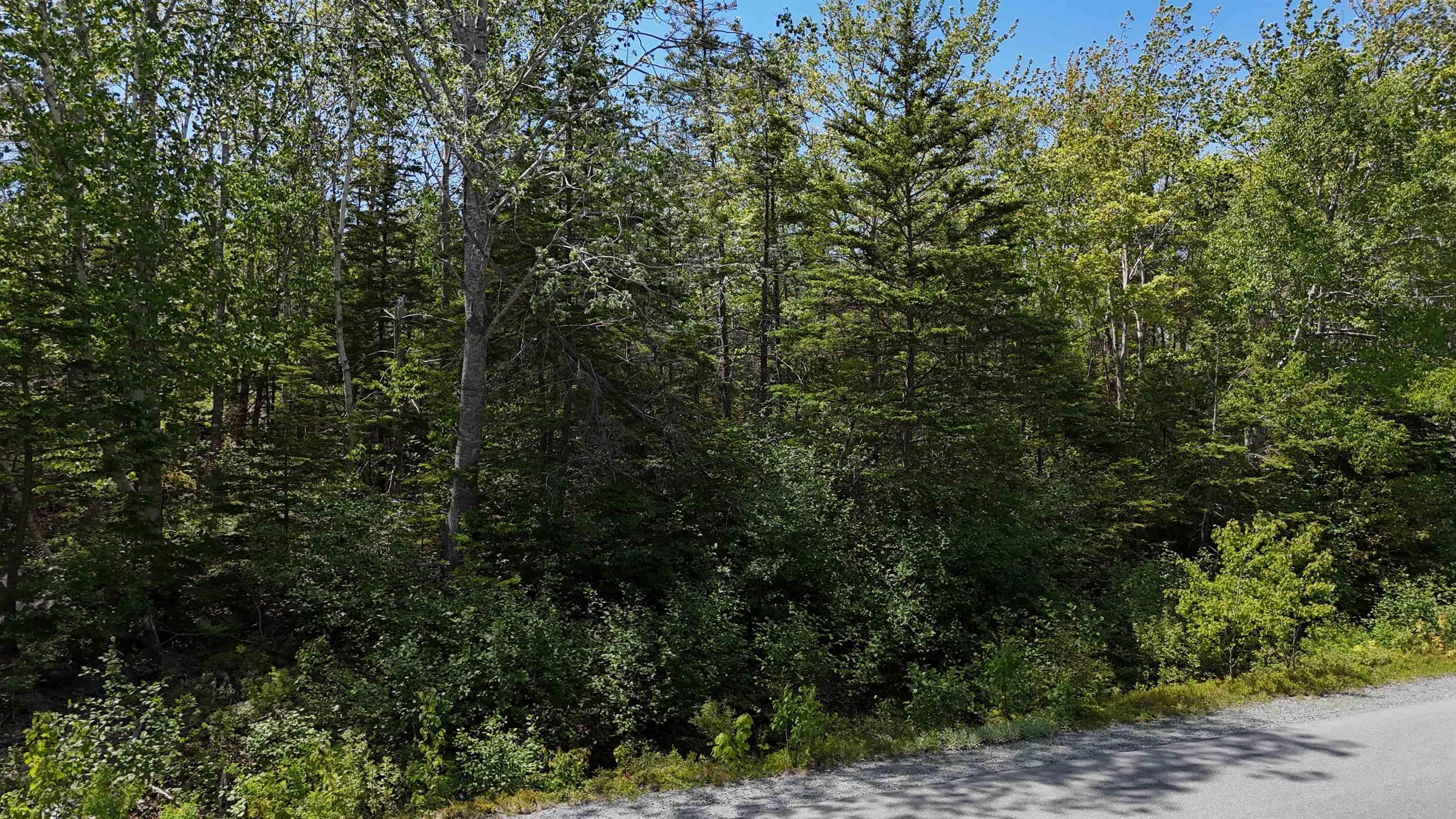 $37,500.00: Lot 16 Eastern Shore Road, Port Medway