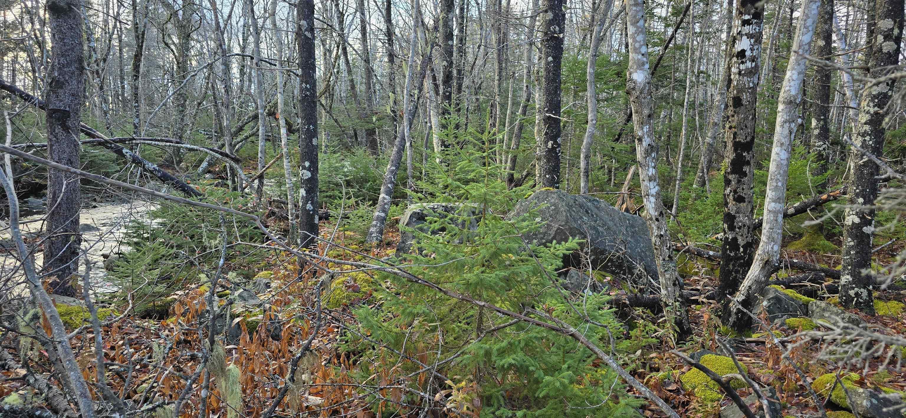 $37,500.00: Lot 16 Eastern Shore Road, Port Medway
