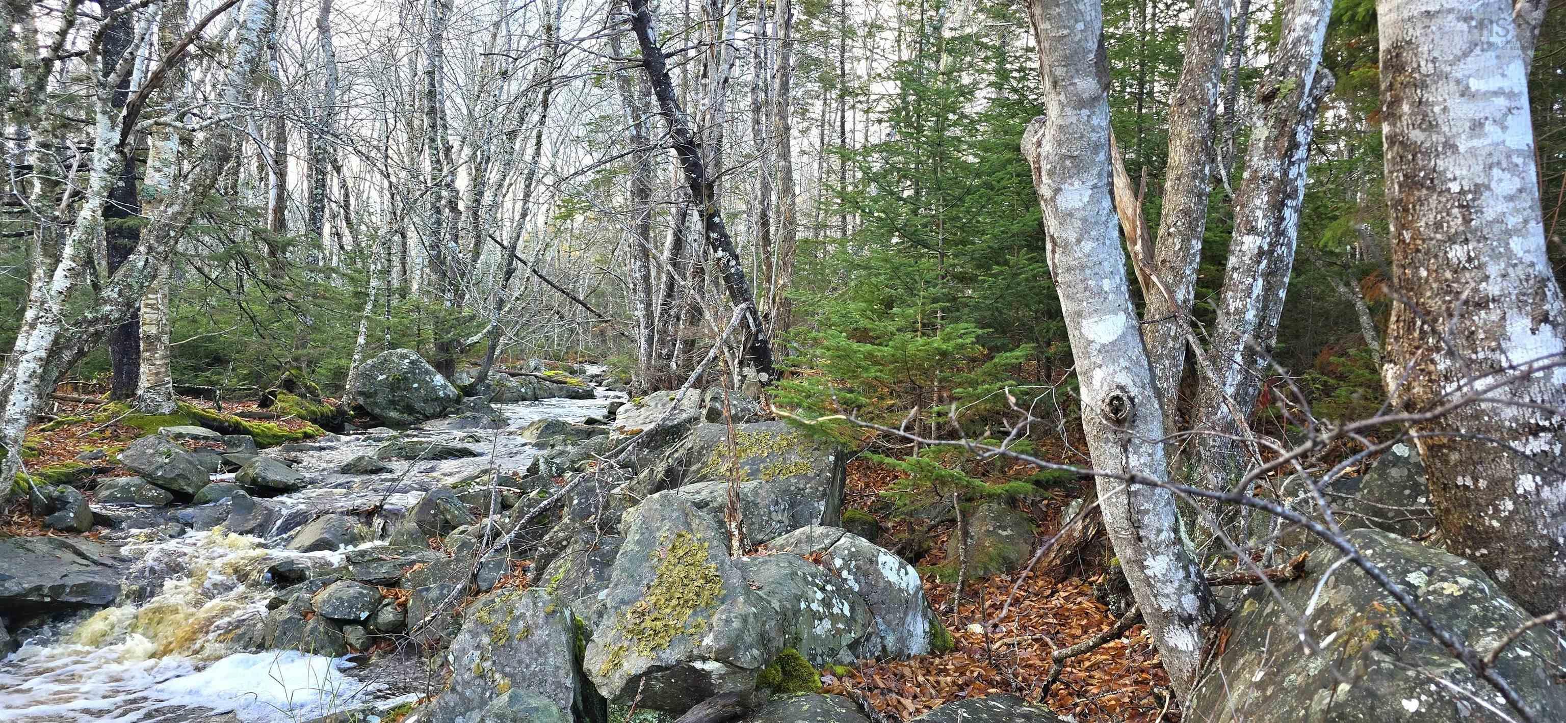$37,500.00: Lot 16 Eastern Shore Road, Port Medway