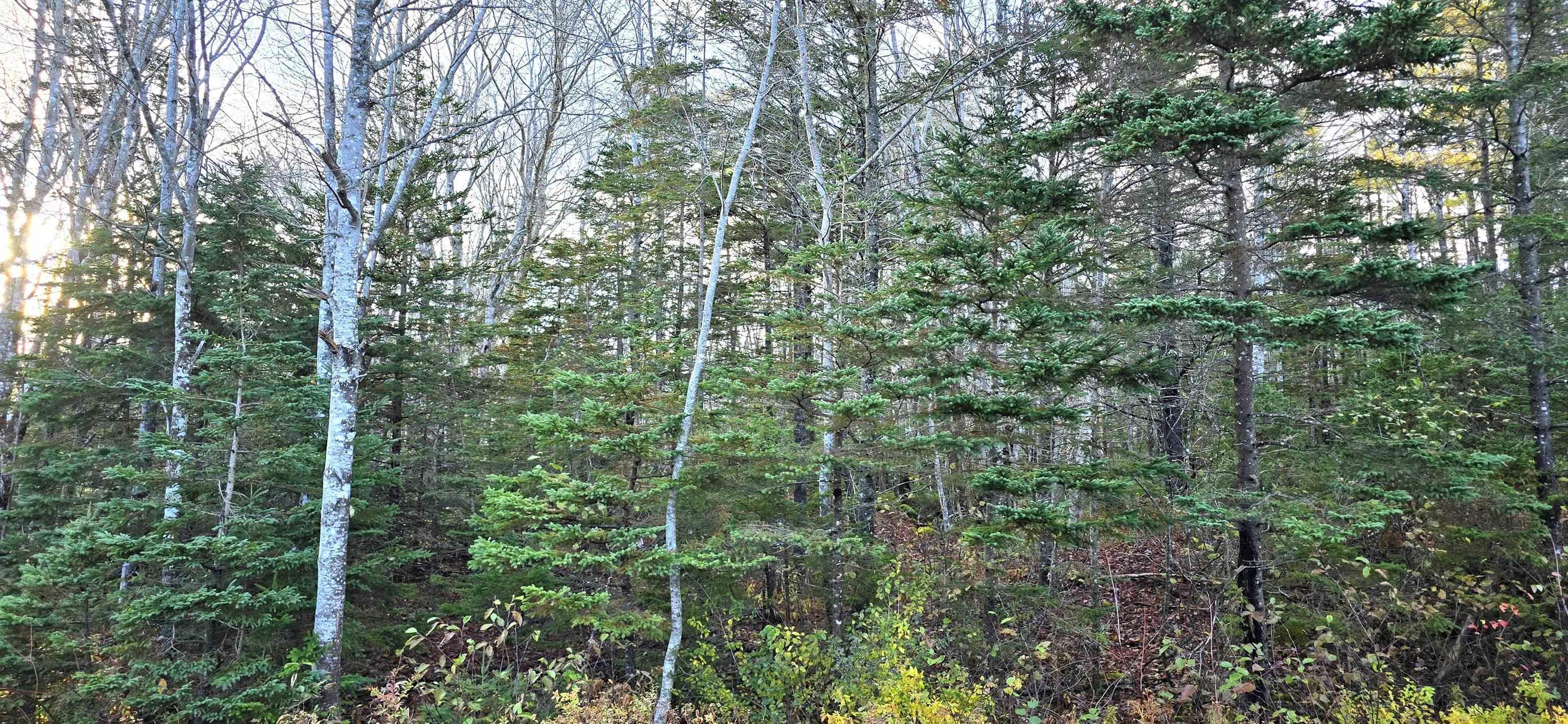 $37,500.00: Lot 16 Eastern Shore Road, Port Medway