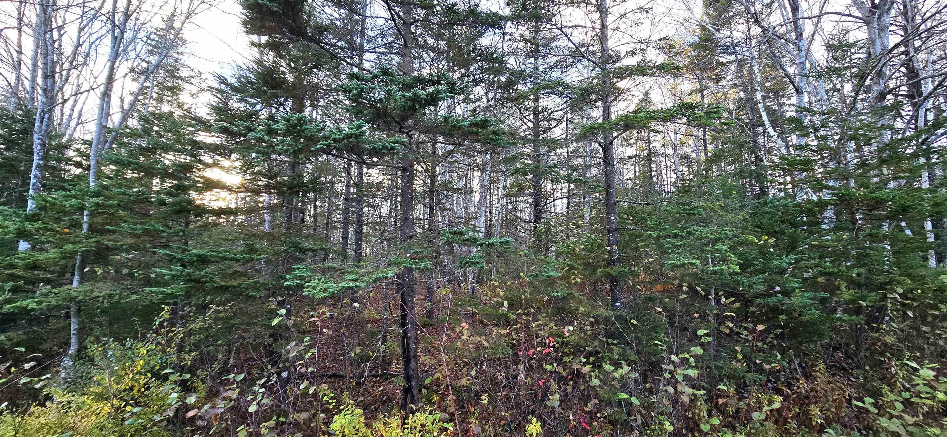 $37,500.00: Lot 16 Eastern Shore Road, Port Medway