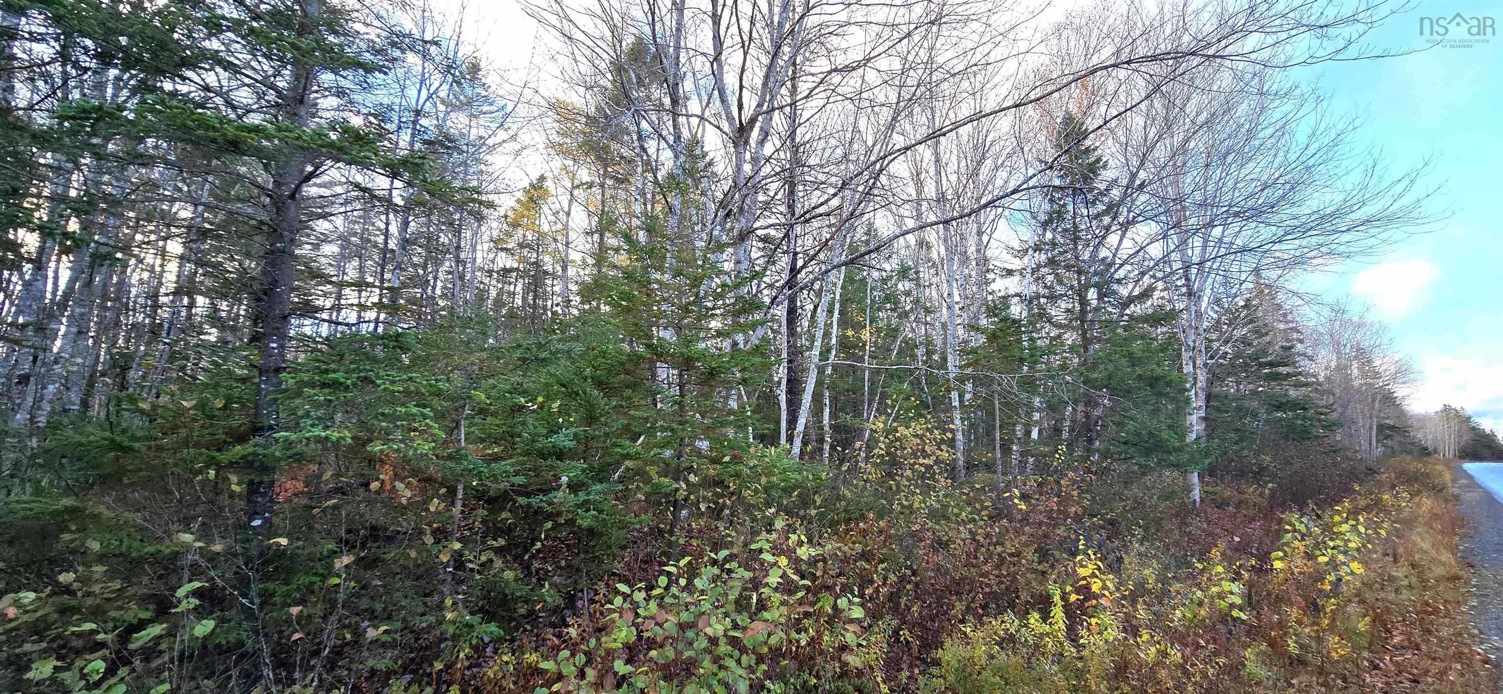 $37,500.00: Lot 16 Eastern Shore Road, Port Medway