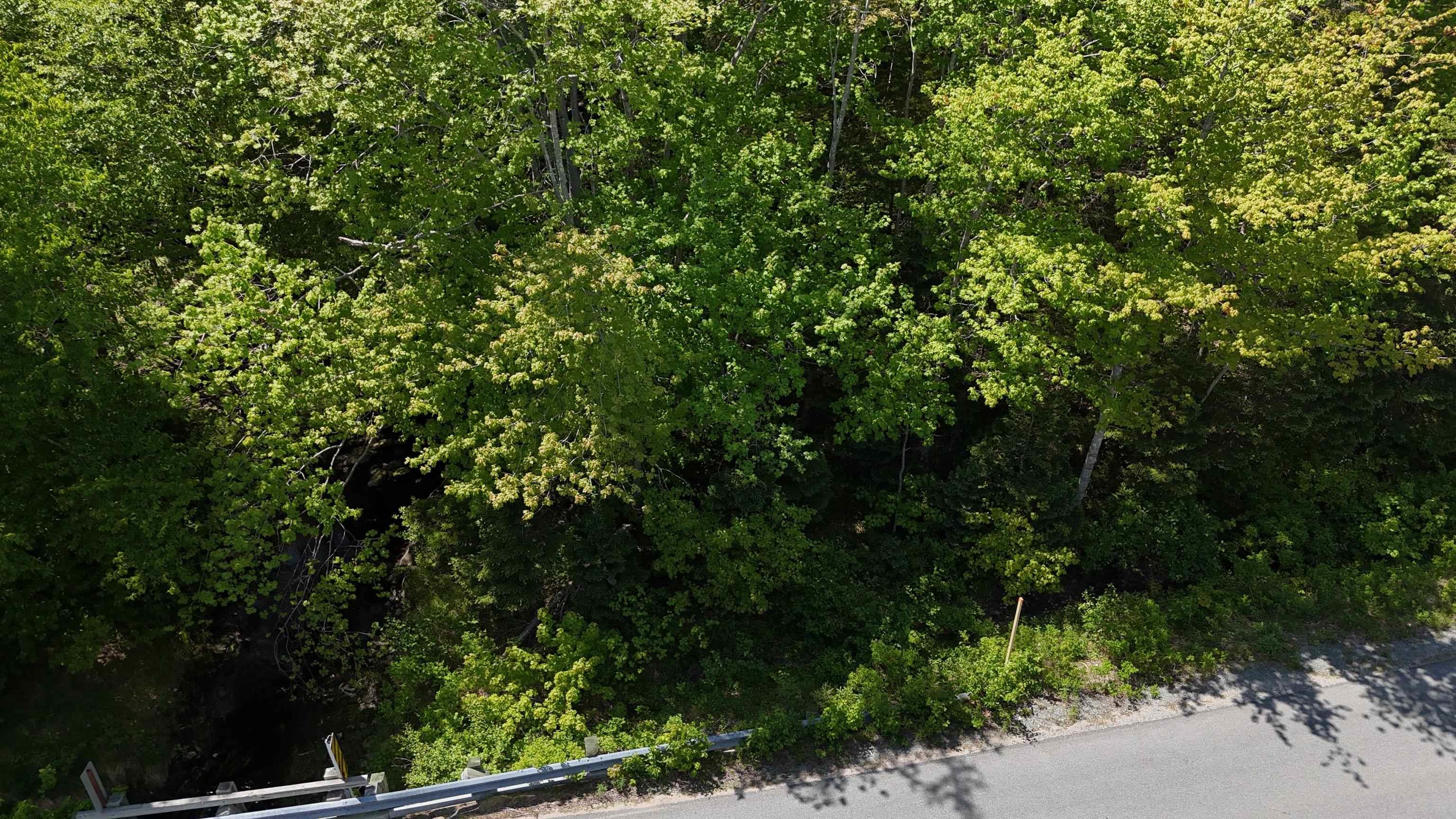 $37,500.00: Lot 16 Eastern Shore Road, Port Medway