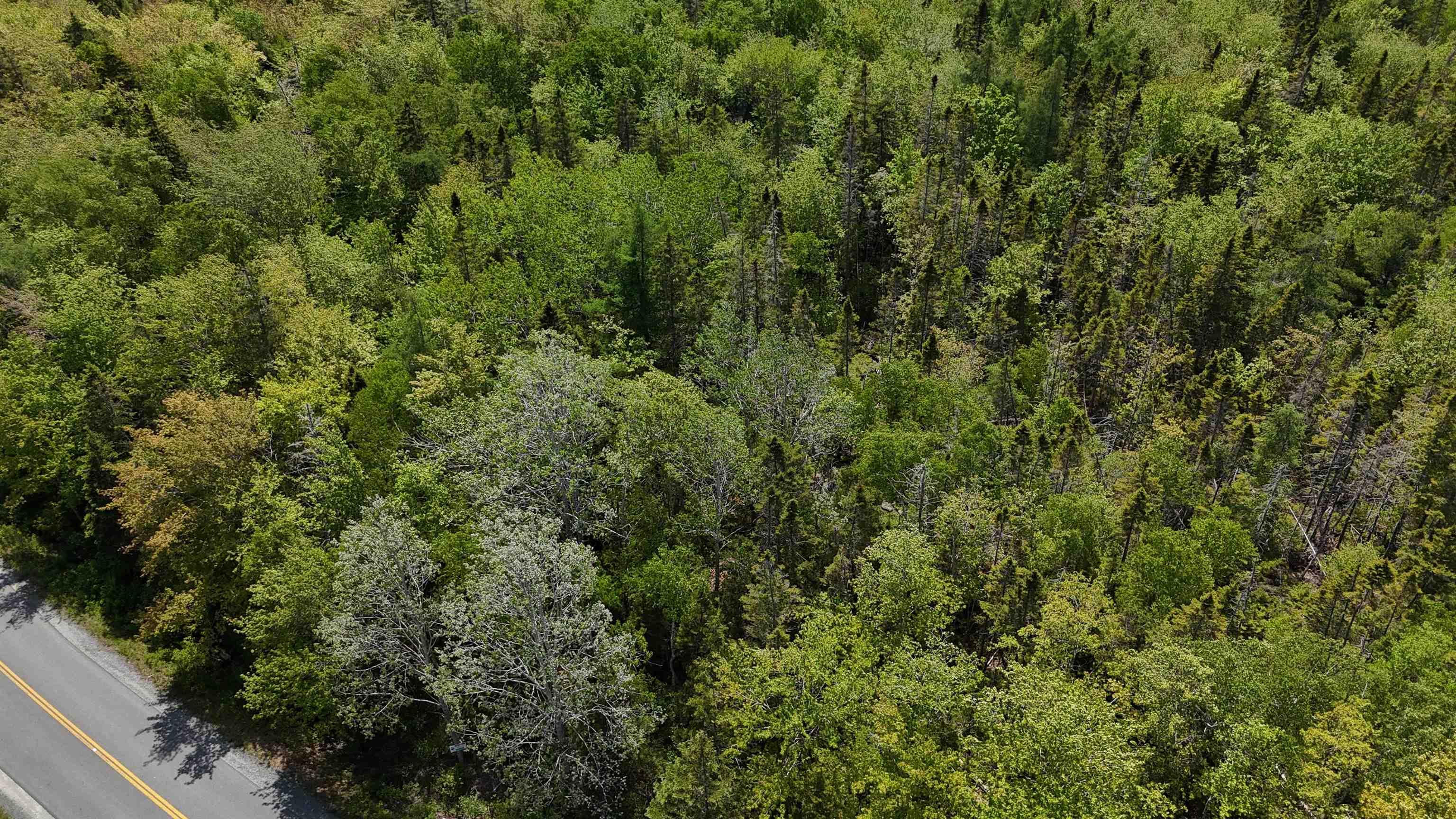 $37,500.00: Lot 16 Eastern Shore Road, Port Medway