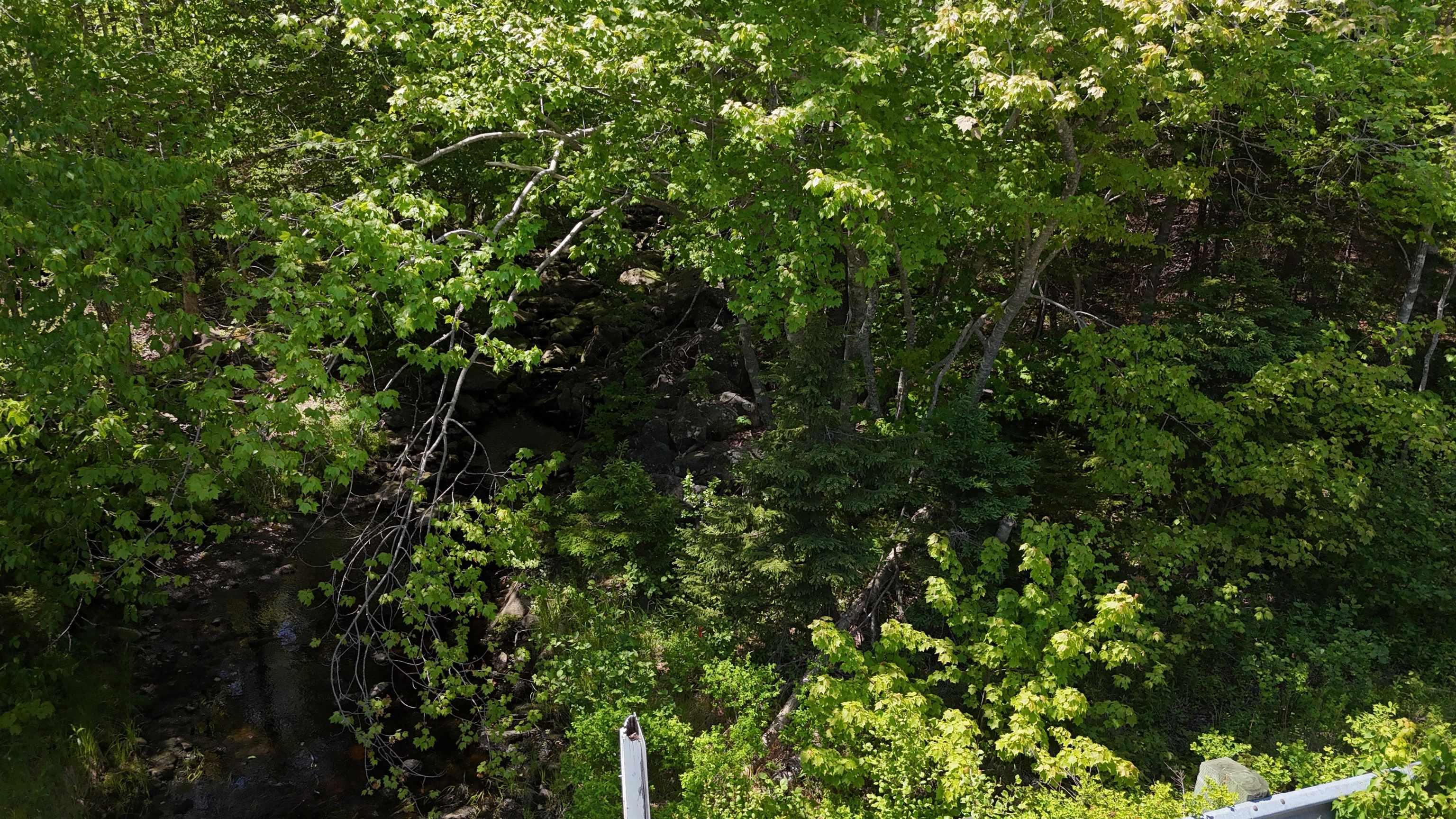 $37,500.00: Lot 16 Eastern Shore Road, Port Medway