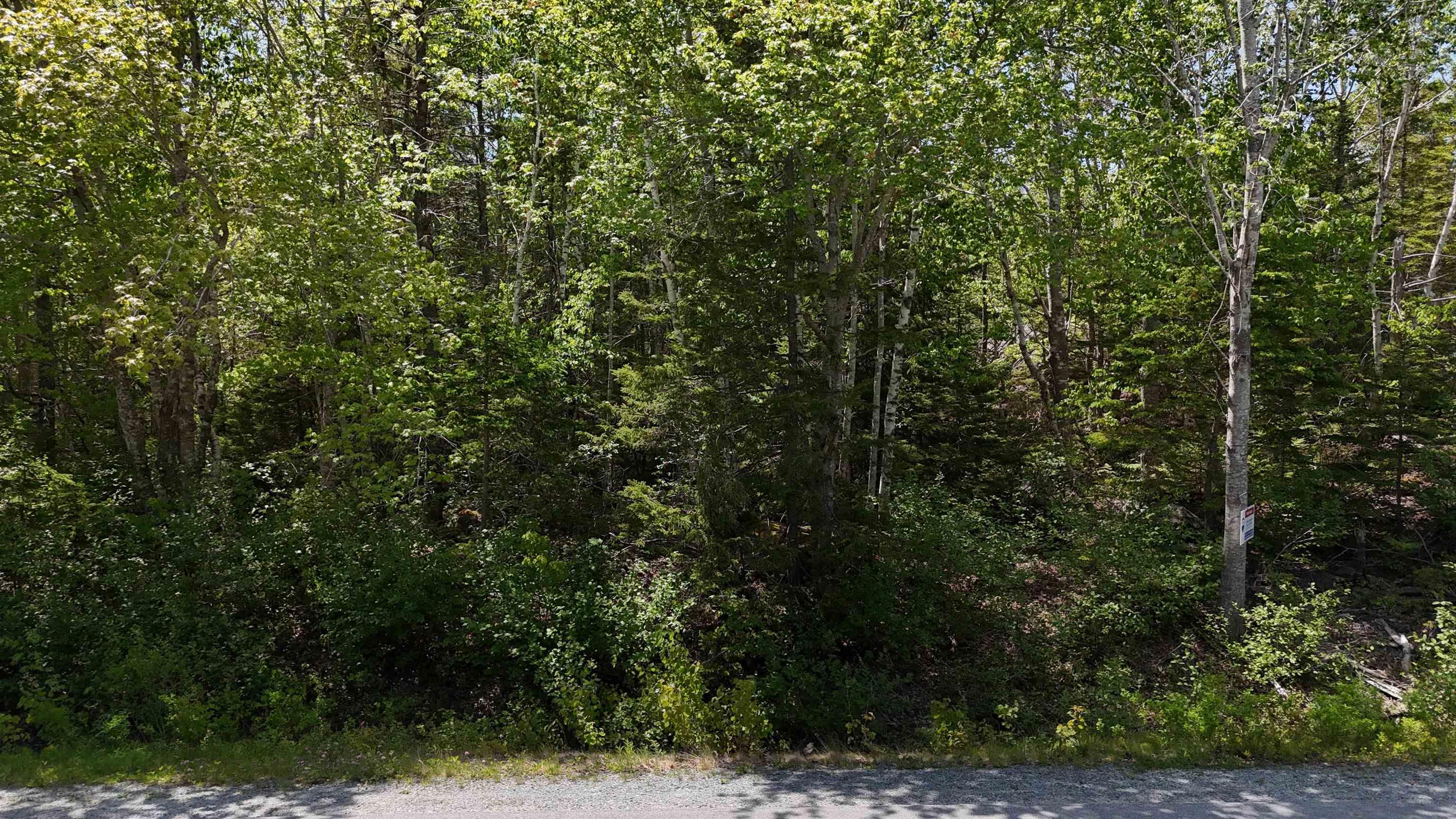 $37,500.00: Lot 16 Eastern Shore Road, Port Medway