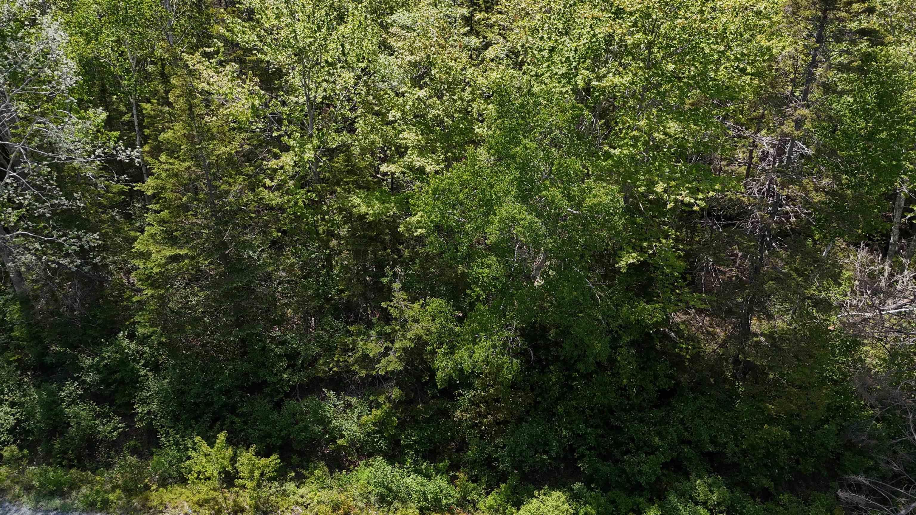 $37,500.00: Lot 16 Eastern Shore Road, Port Medway