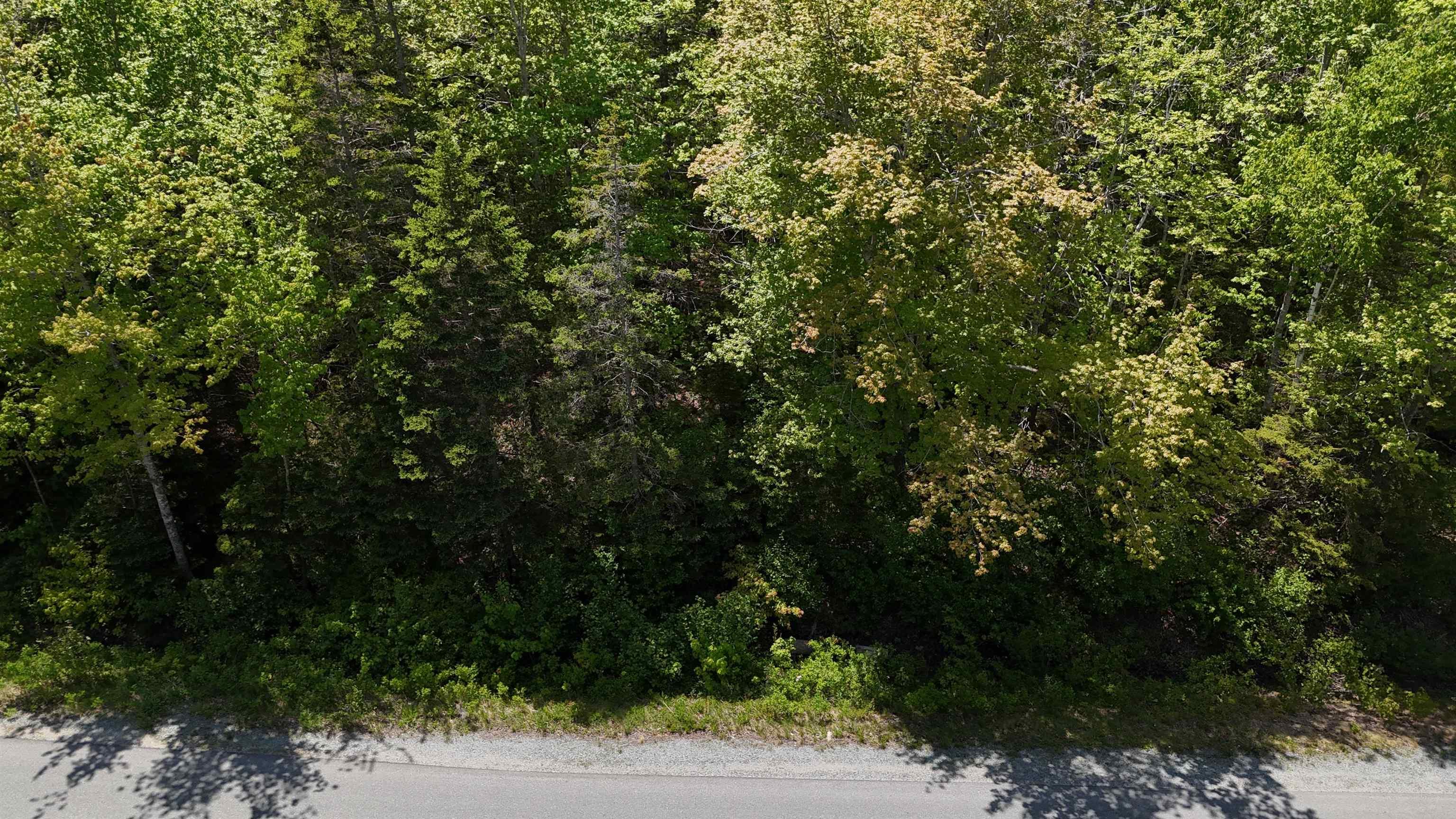 $37,500.00: Lot 16 Eastern Shore Road, Port Medway