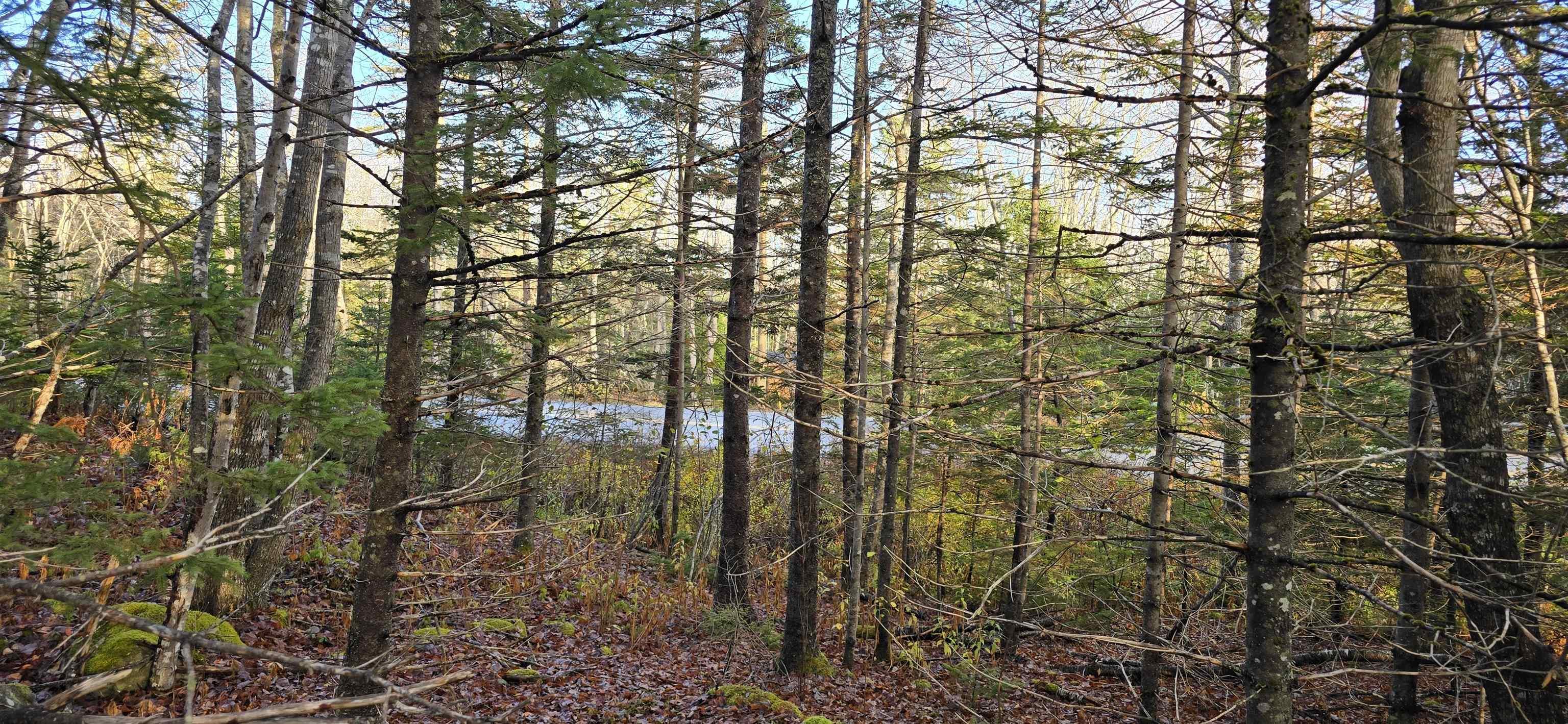 $37,500.00: Lot 16 Eastern Shore Road, Port Medway