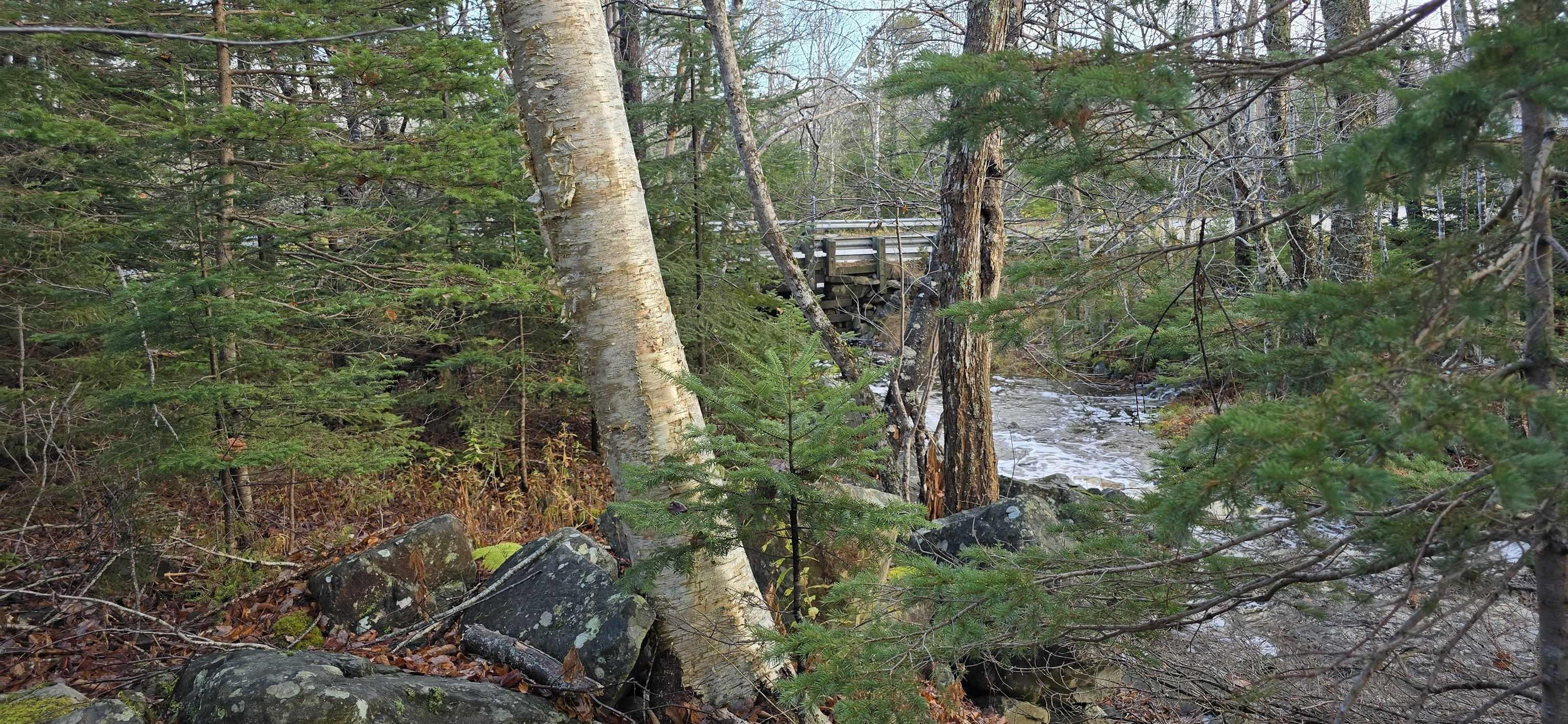 $37,500.00: Lot 16 Eastern Shore Road, Port Medway