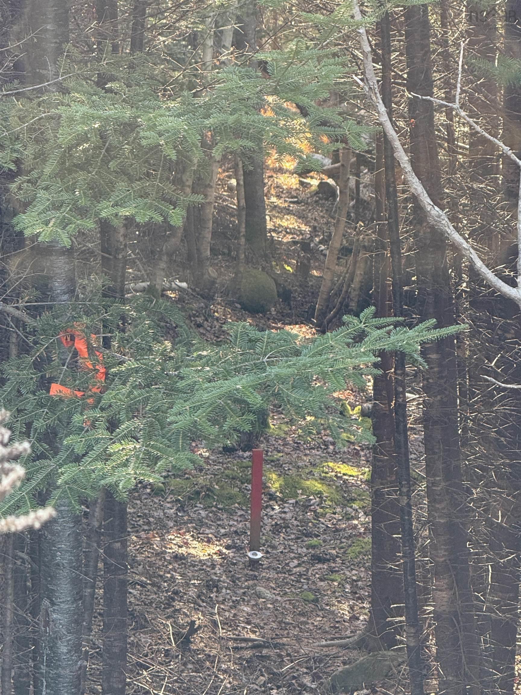 $44,900.00: Lot Highway 331, Petite Rivière