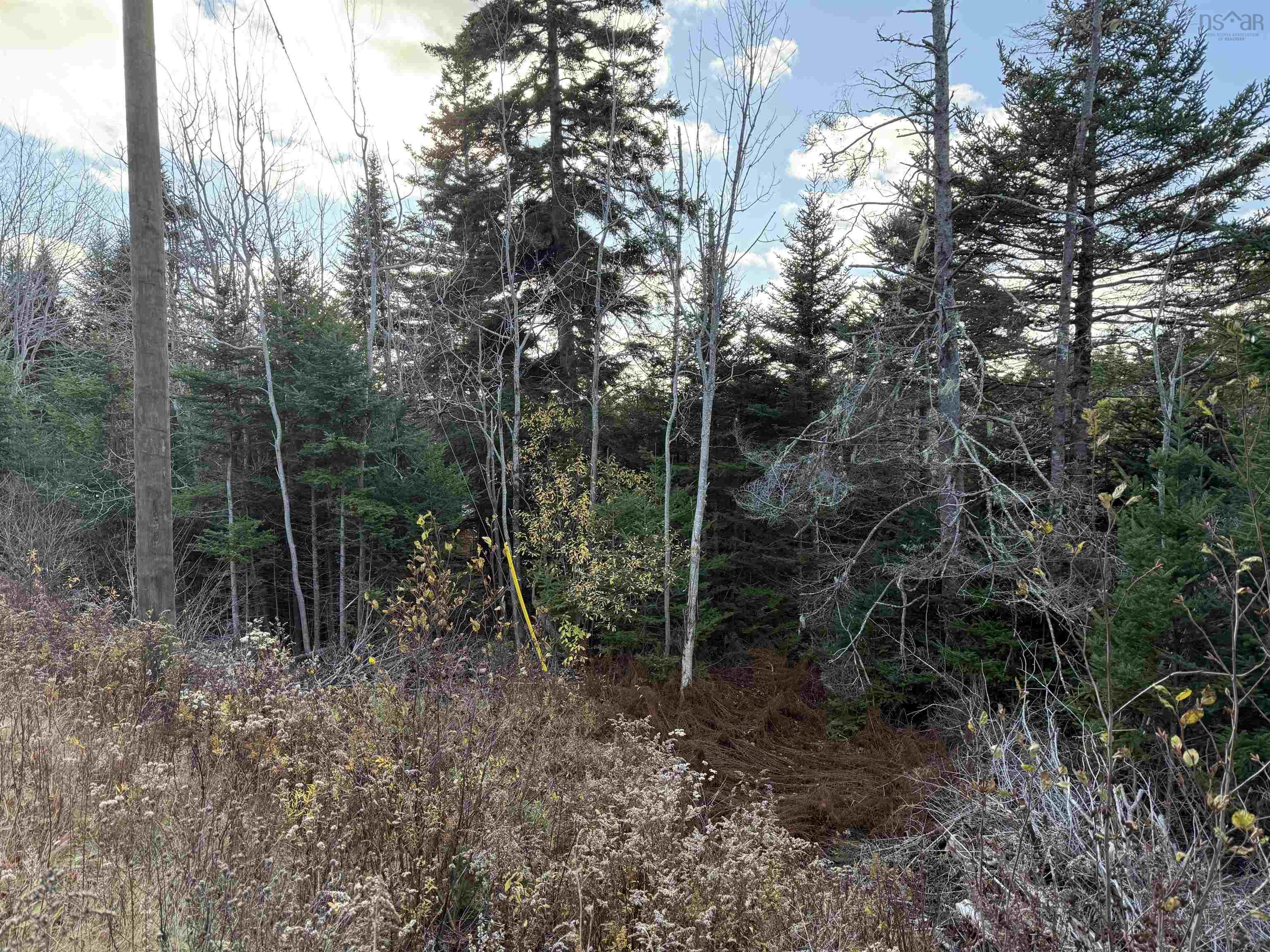 $44,900.00: Lot Highway 331, Petite Rivière