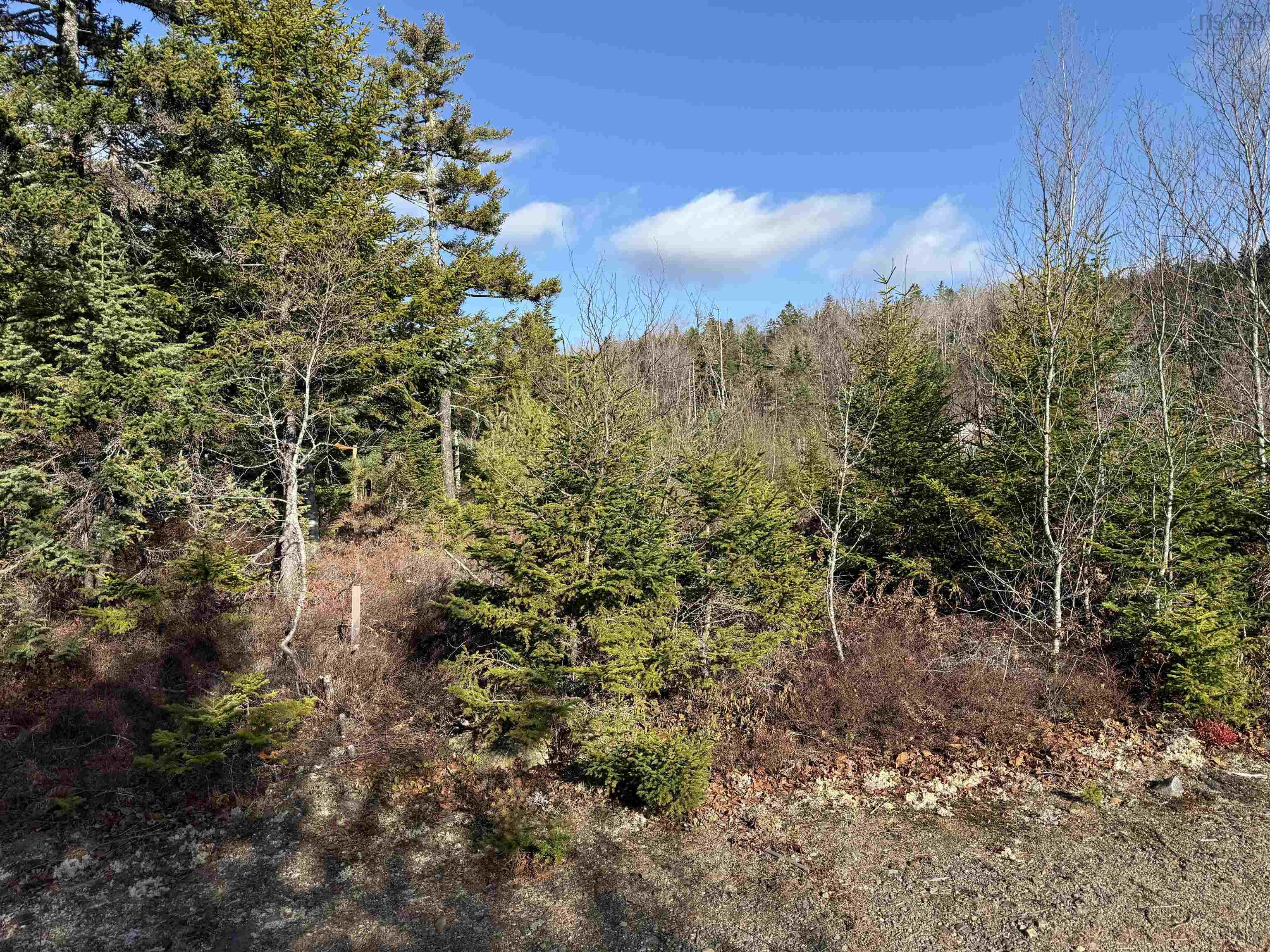 $44,900.00: Lot Highway 331, Petite Rivière