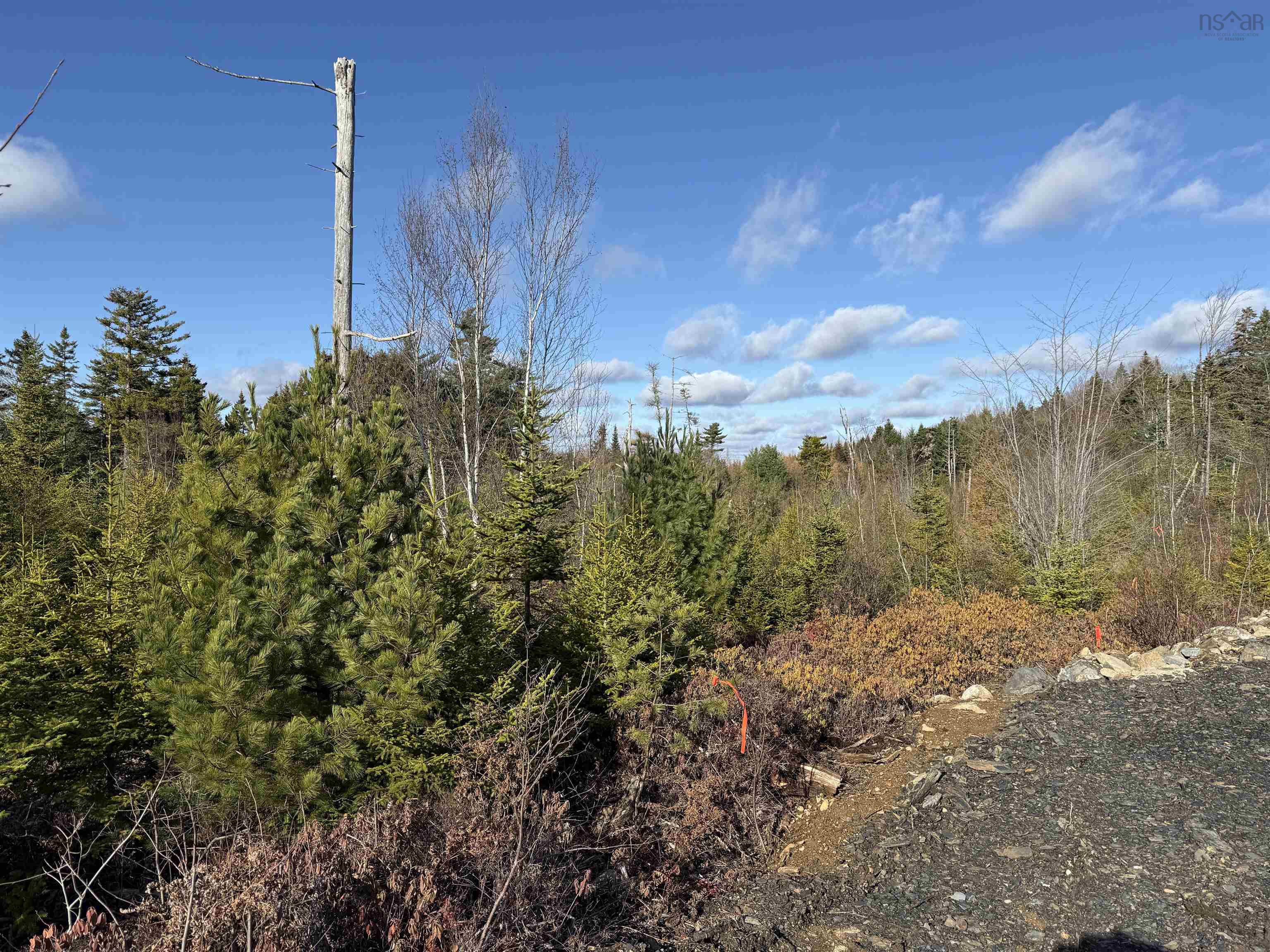 $44,900.00: Lot Highway 331, Petite Rivière