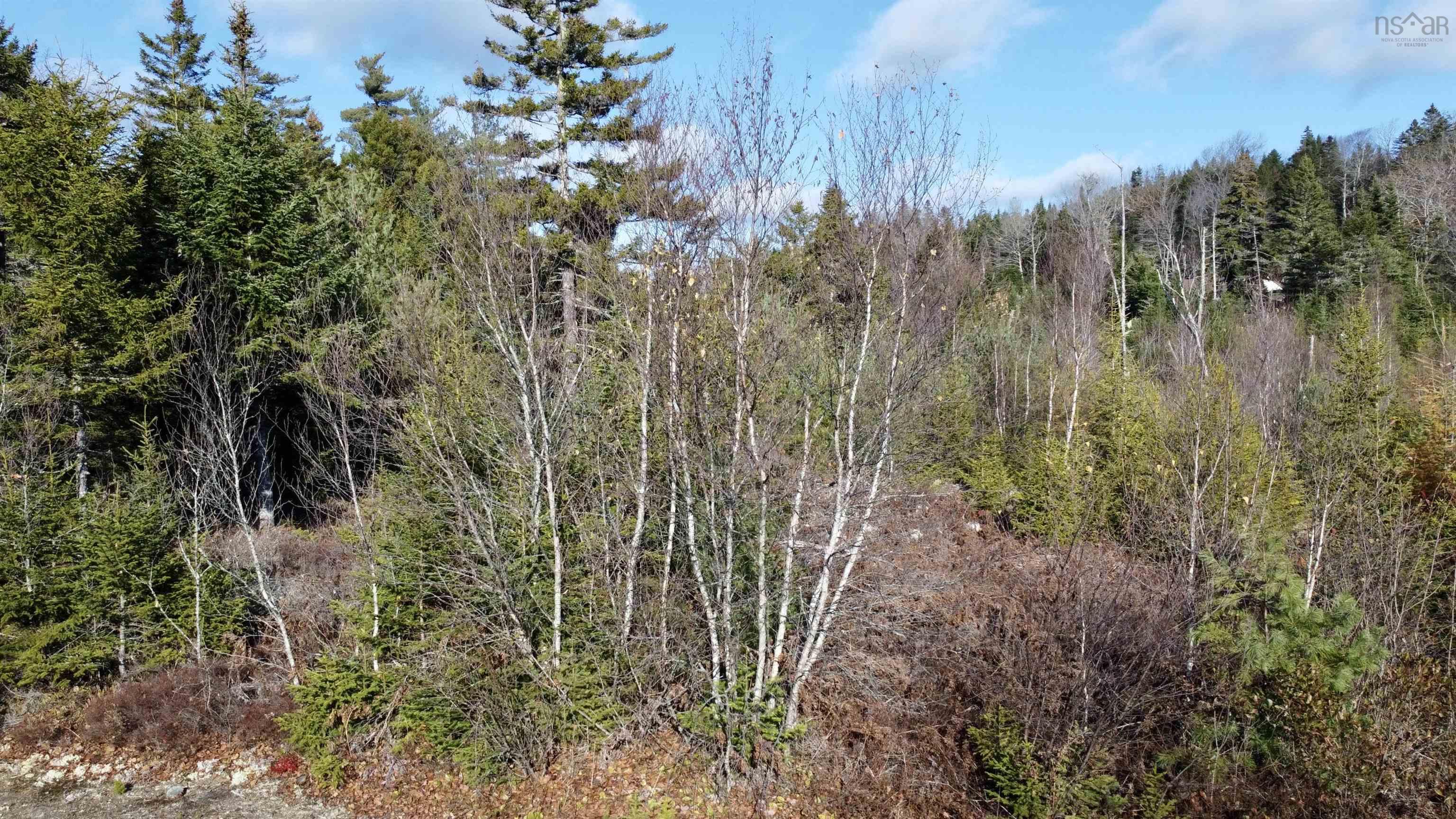 $44,900.00: Lot Highway 331, Petite Rivière