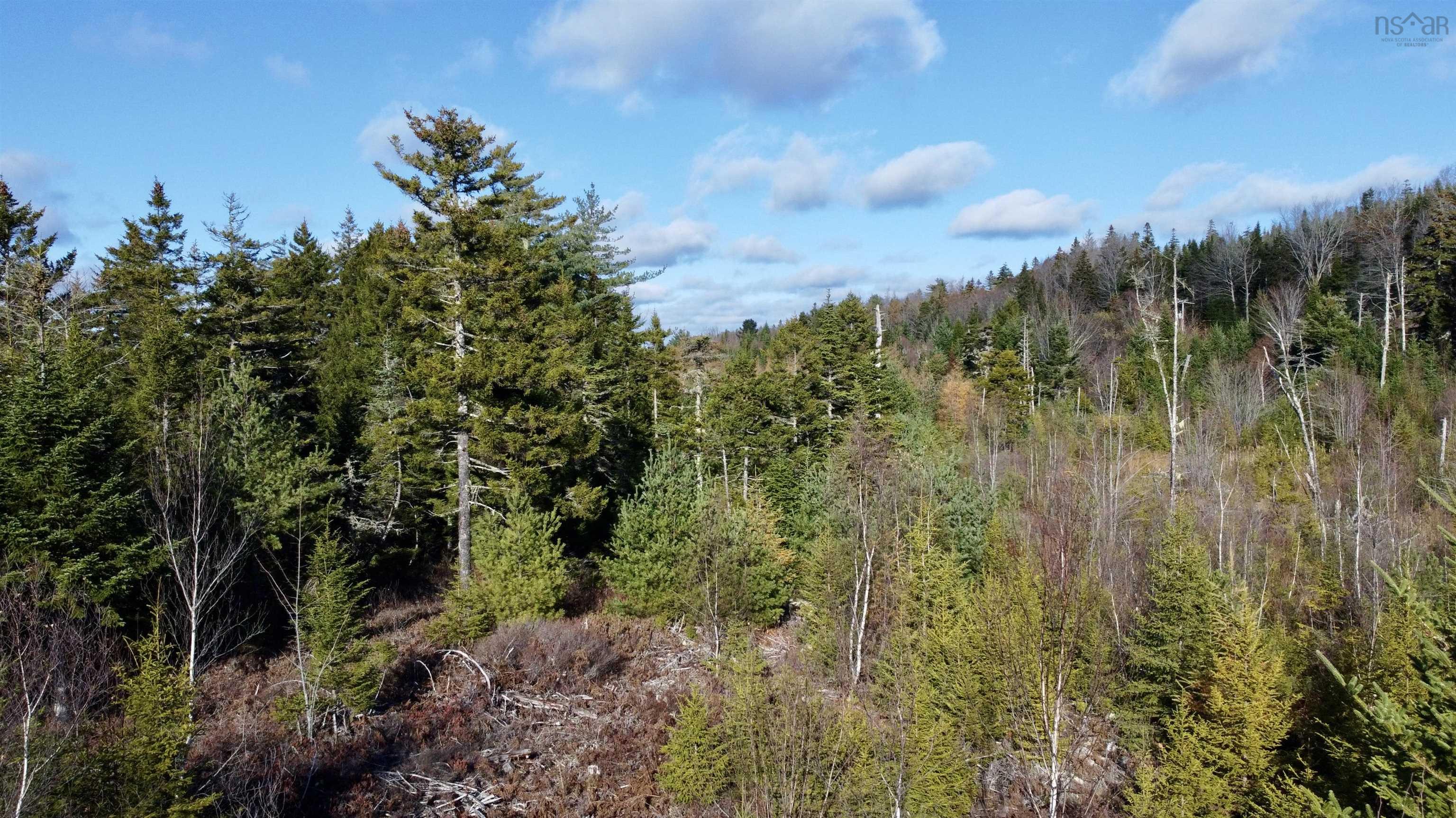 $44,900.00: Lot Highway 331, Petite Rivière