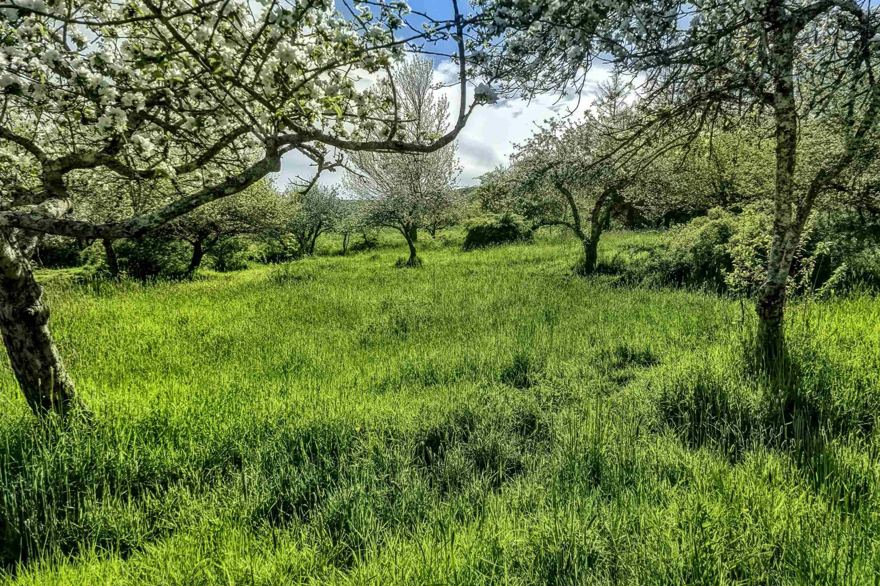 $95,000.00: Lot 2025 Clarence Road, Central Clarence