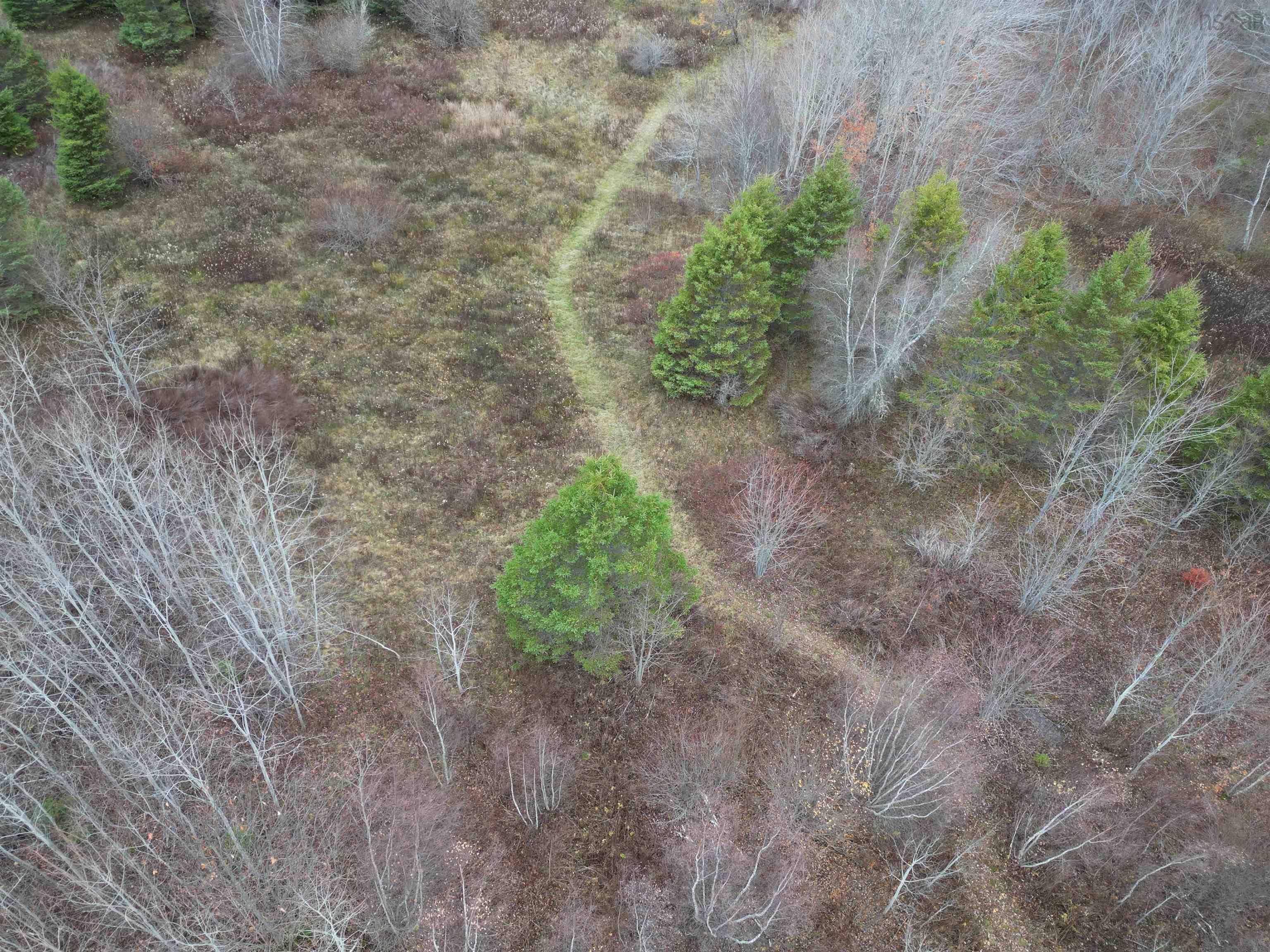 $289,900.00: 255 VARNER MOUNTAIN Road, Nictaux South