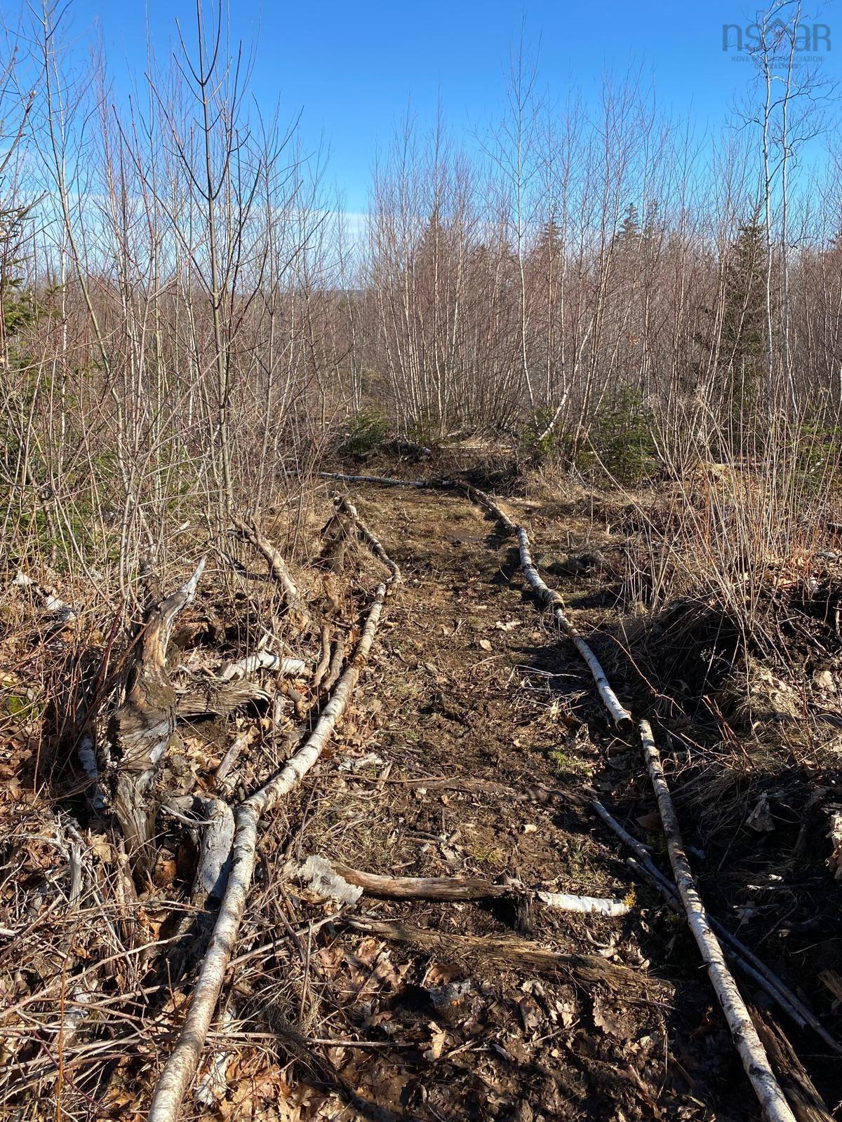 $289,900.00: 255 VARNER MOUNTAIN Road, Nictaux South