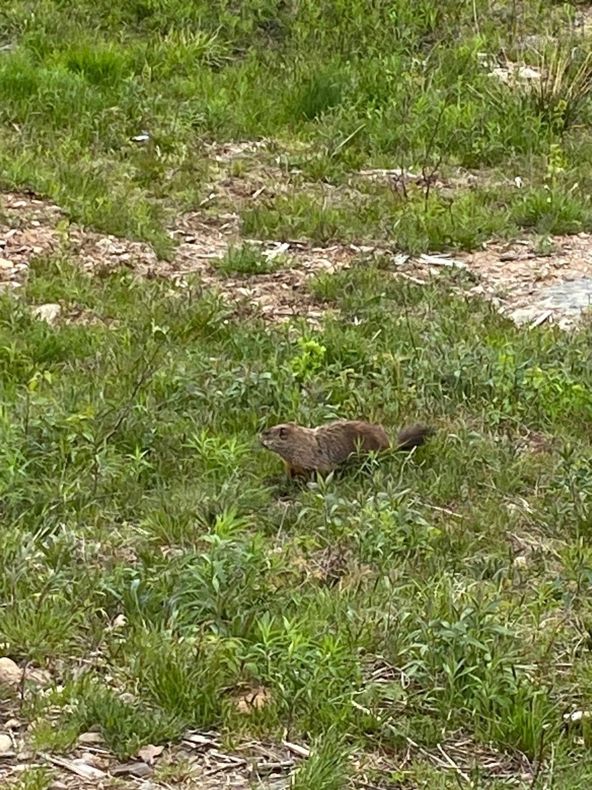 $289,900.00: 255 VARNER MOUNTAIN Road, Nictaux South