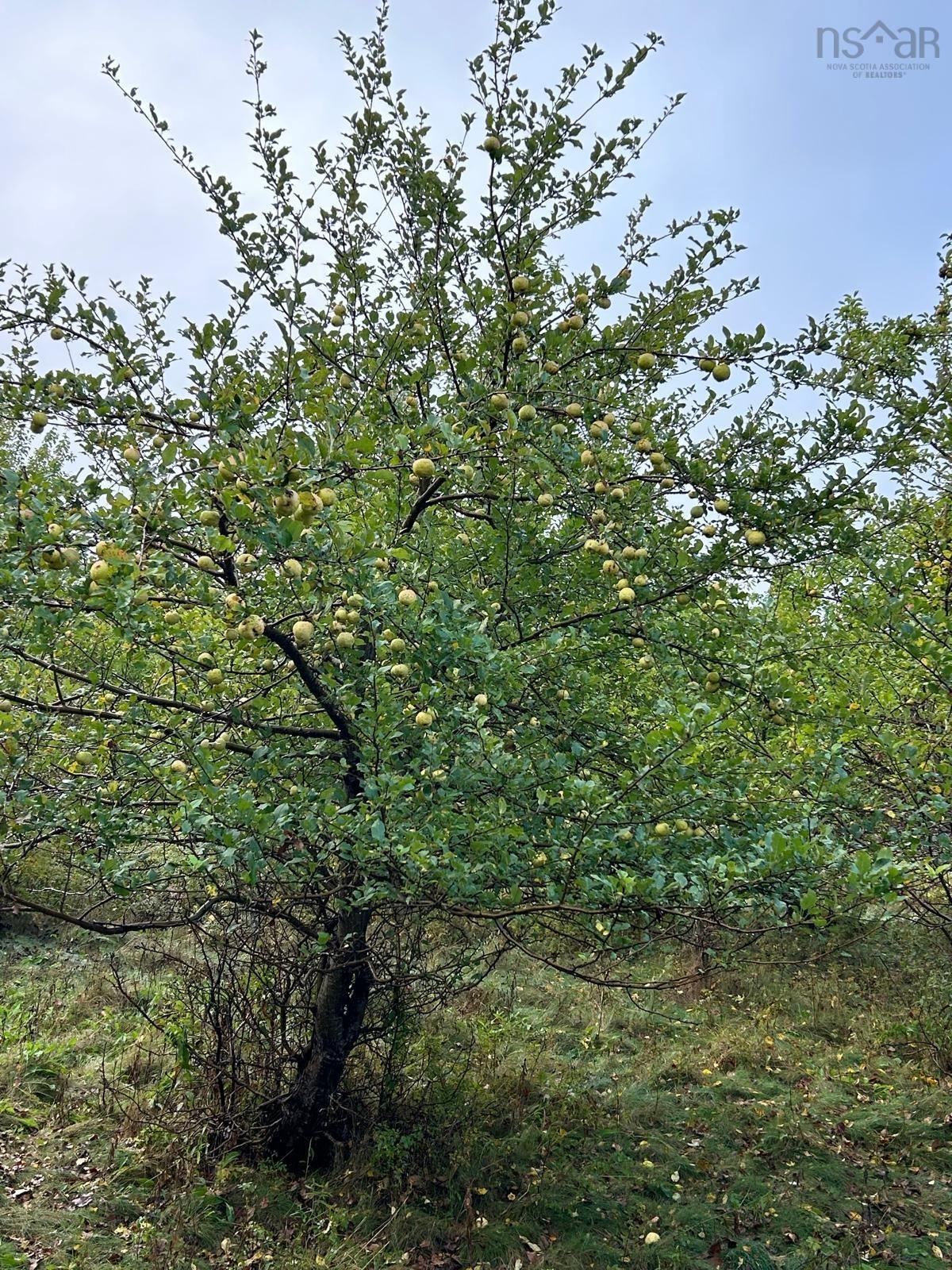 $289,900.00: 255 VARNER MOUNTAIN Road, Nictaux South