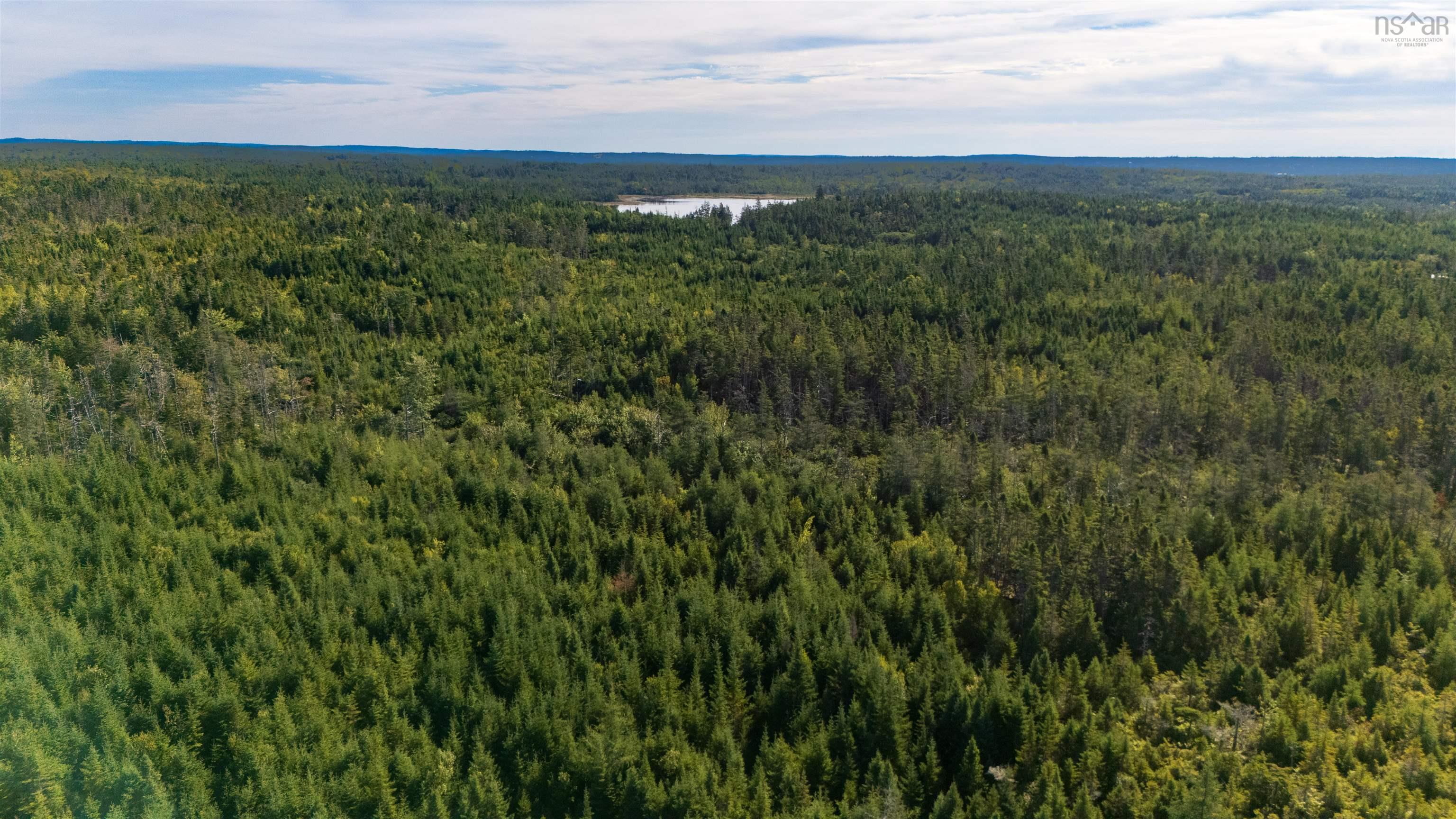 Lots Pettipas Lane, East Chezzetcook, NS (MLS 202528221)