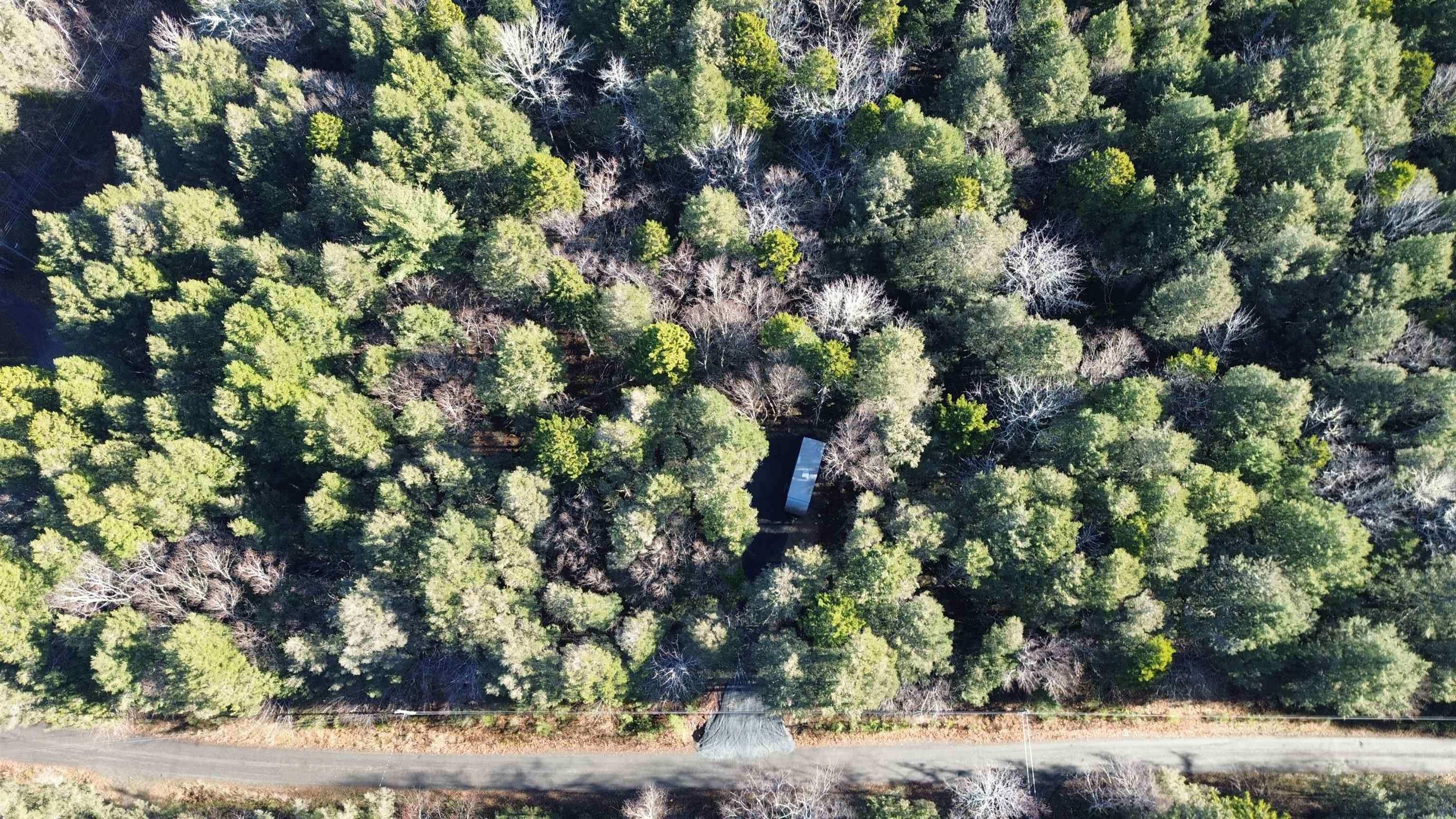 $34,500.00: Lot 15 Horseback Hideway, Labelle