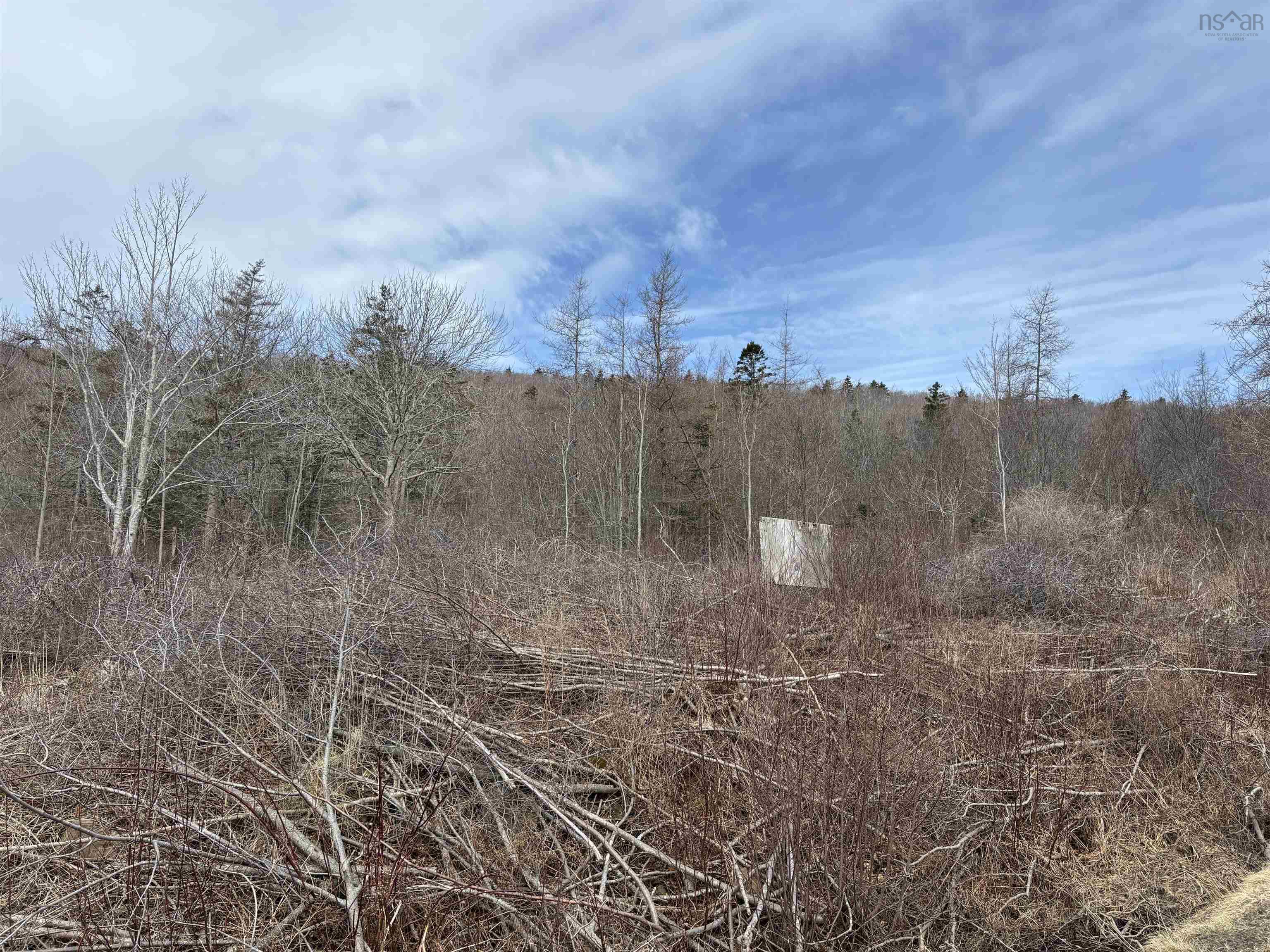 Culloden Road, Mount Pleasant, NS (MLS® 202528355)