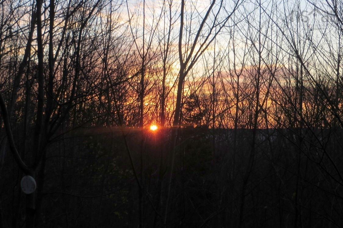 $799,000.00: 516 Burgess Mountain Road, Woodville