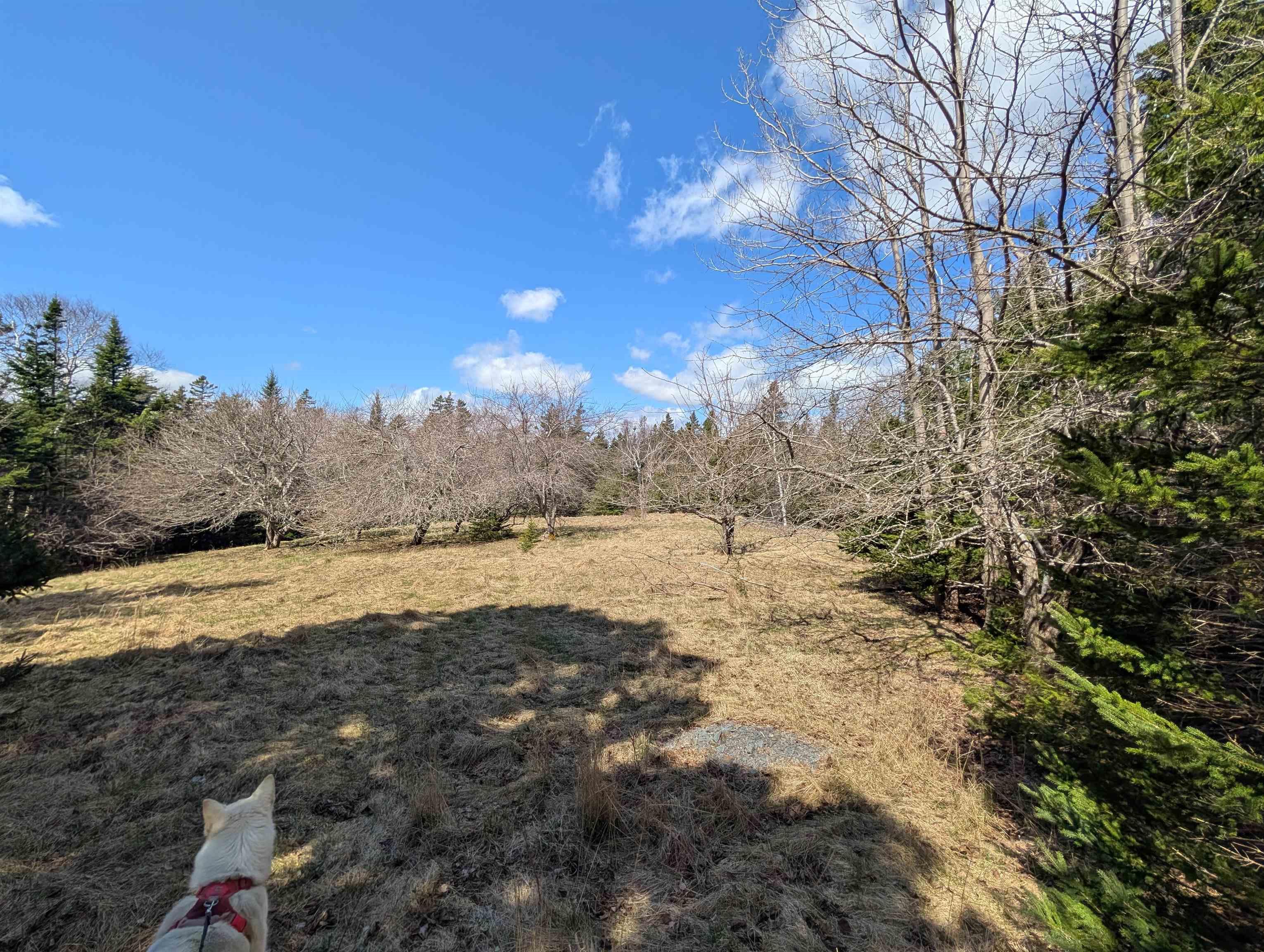 $245,000.00: Lot 8-a Woodenship Lane, Feltzen South