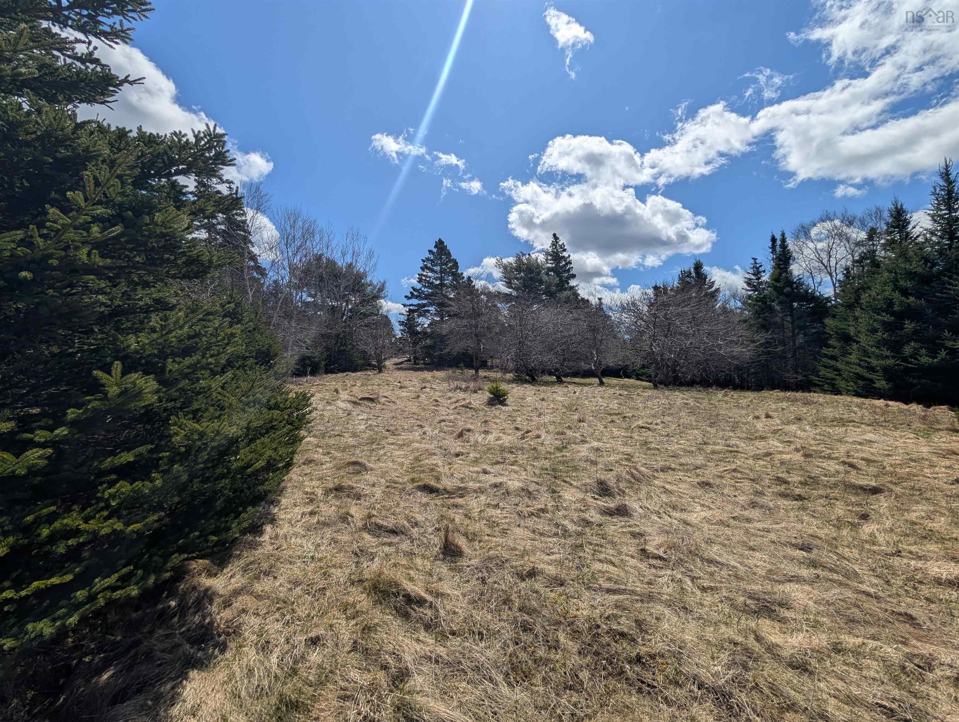 $245,000.00: Lot 8-a Woodenship Lane, Feltzen South