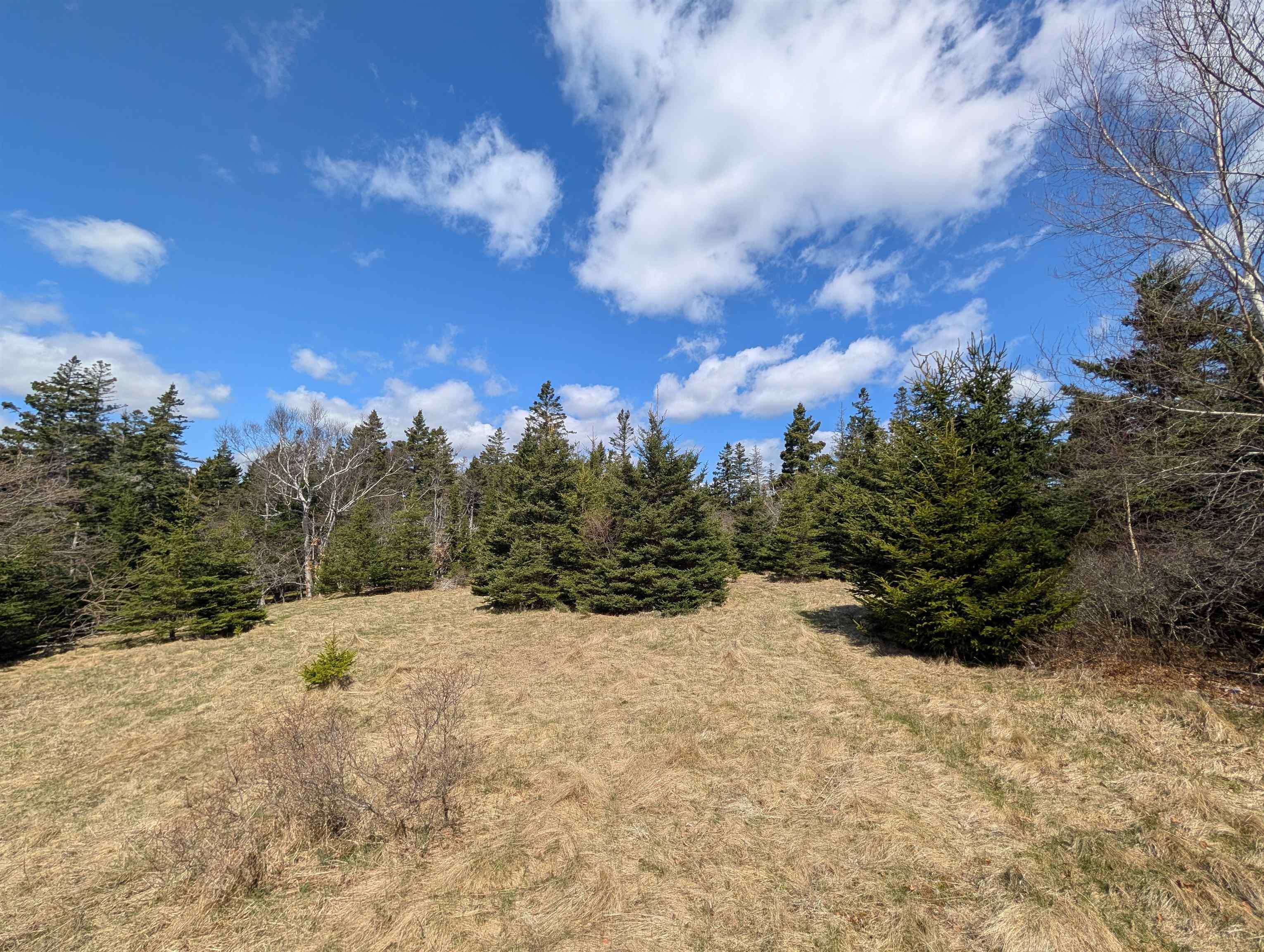 $245,000.00: Lot 8-a Woodenship Lane, Feltzen South