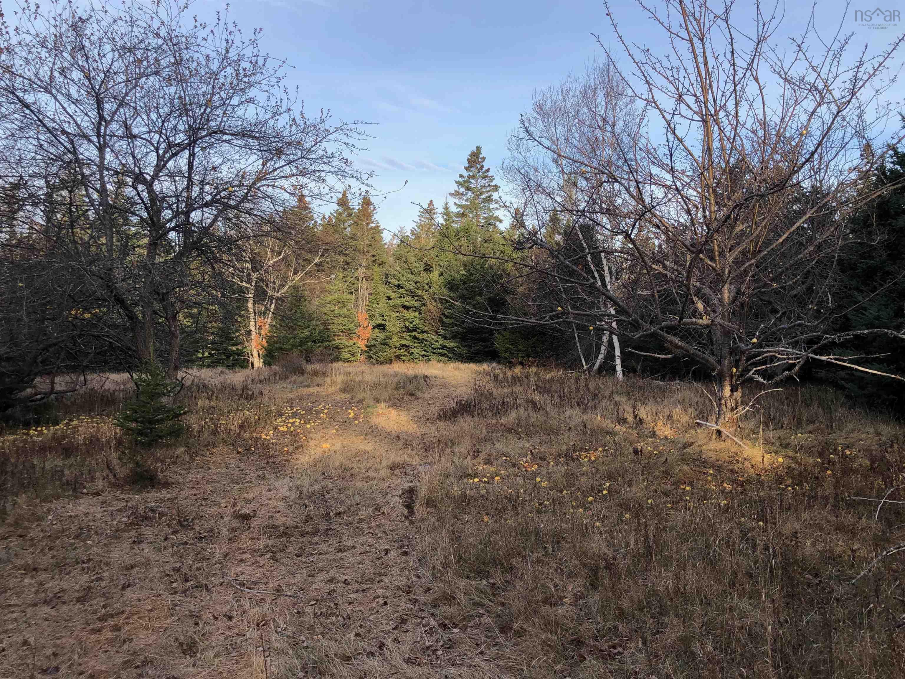 $245,000.00: Lot 8-a Woodenship Lane, Feltzen South