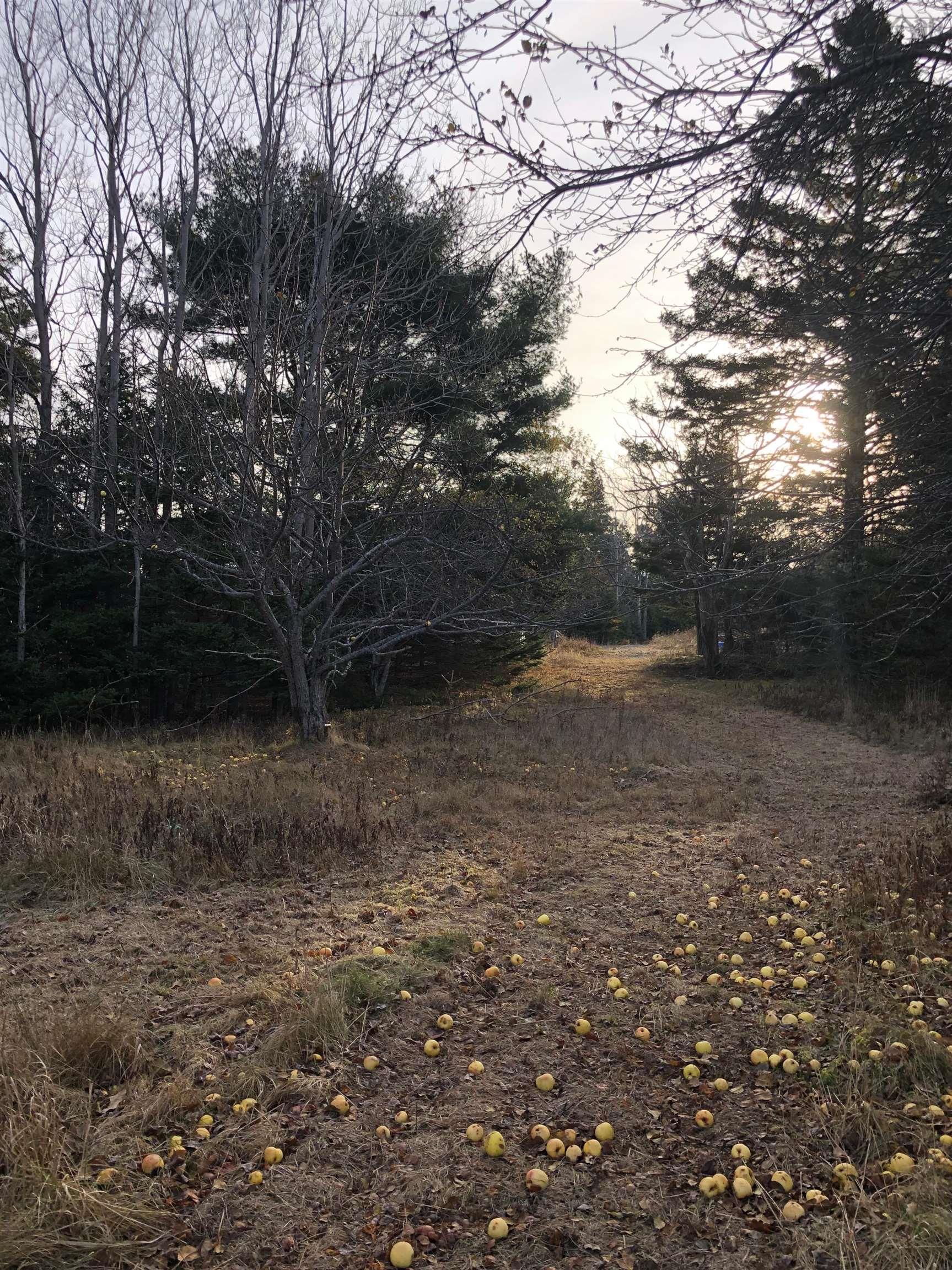 $245,000.00: Lot 8-a Woodenship Lane, Feltzen South