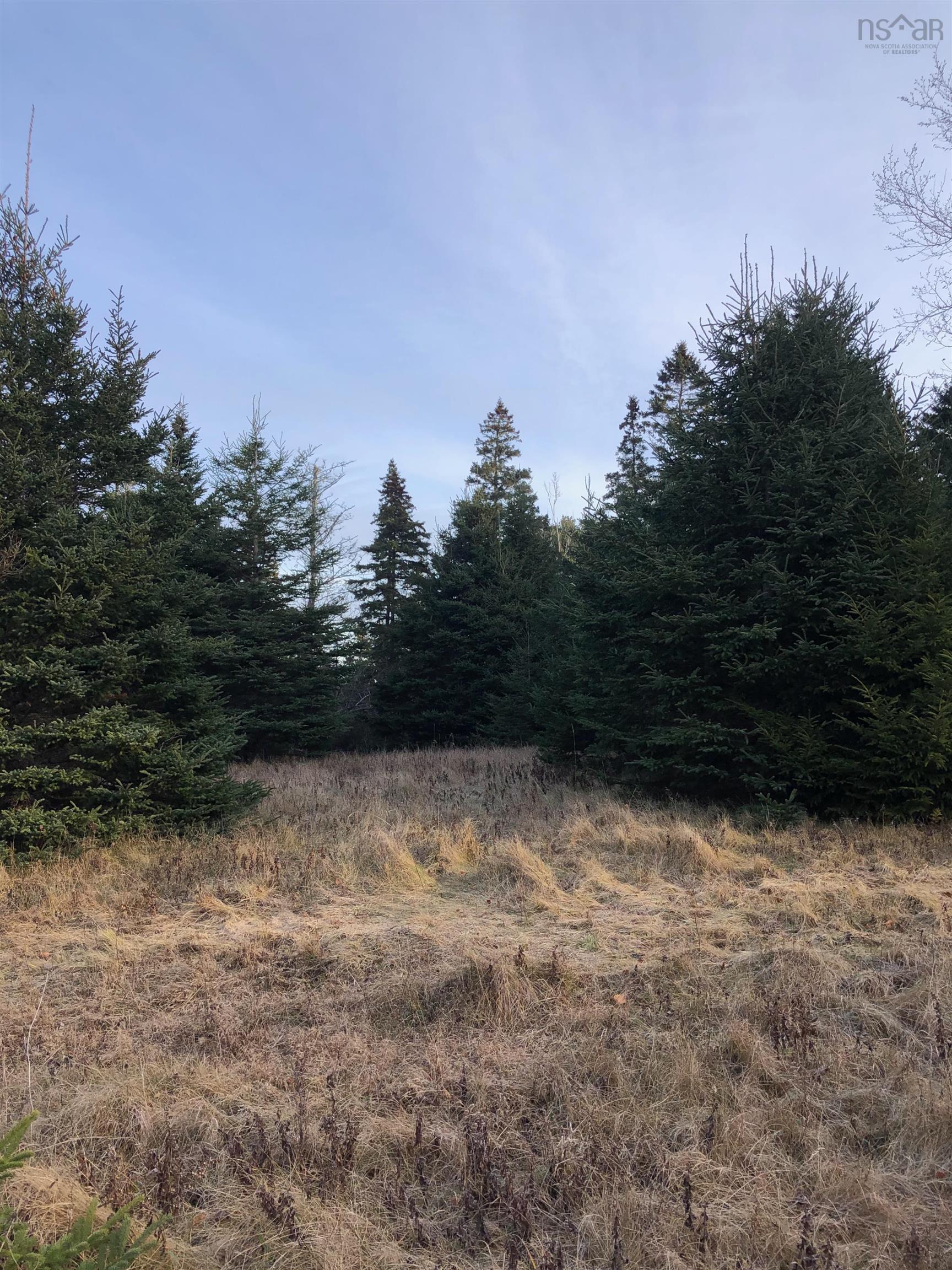 $245,000.00: Lot 8-a Woodenship Lane, Feltzen South