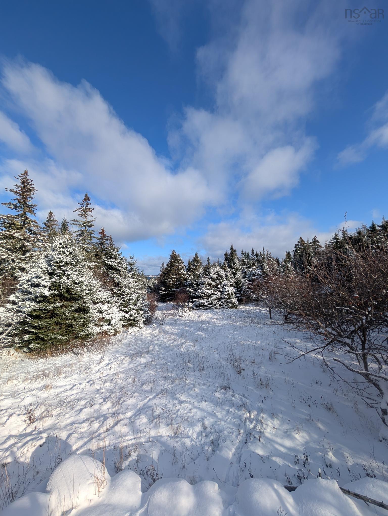 $245,000.00: Lot 8-a Woodenship Lane, Feltzen South